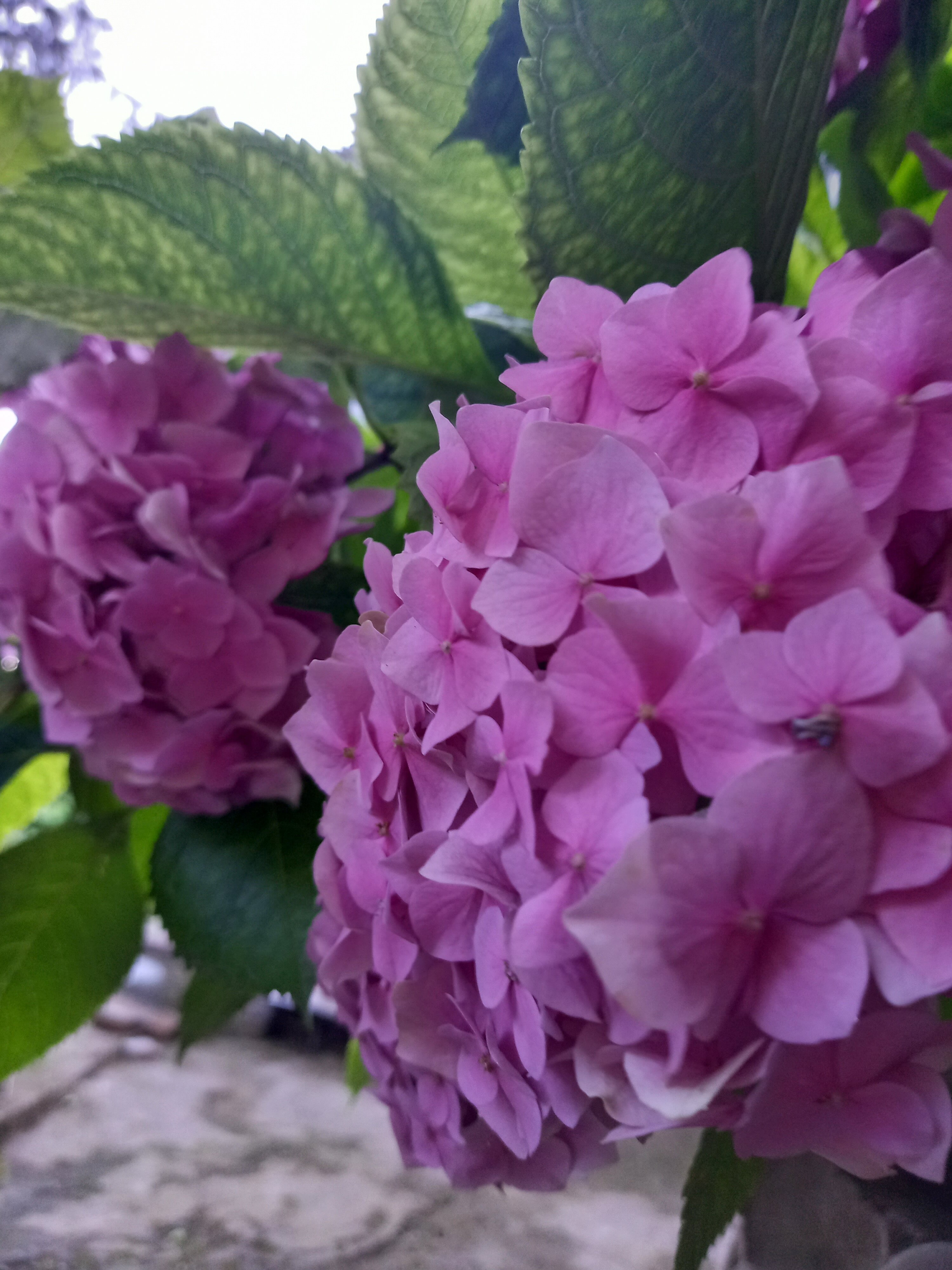 Фото Сосновый Бор