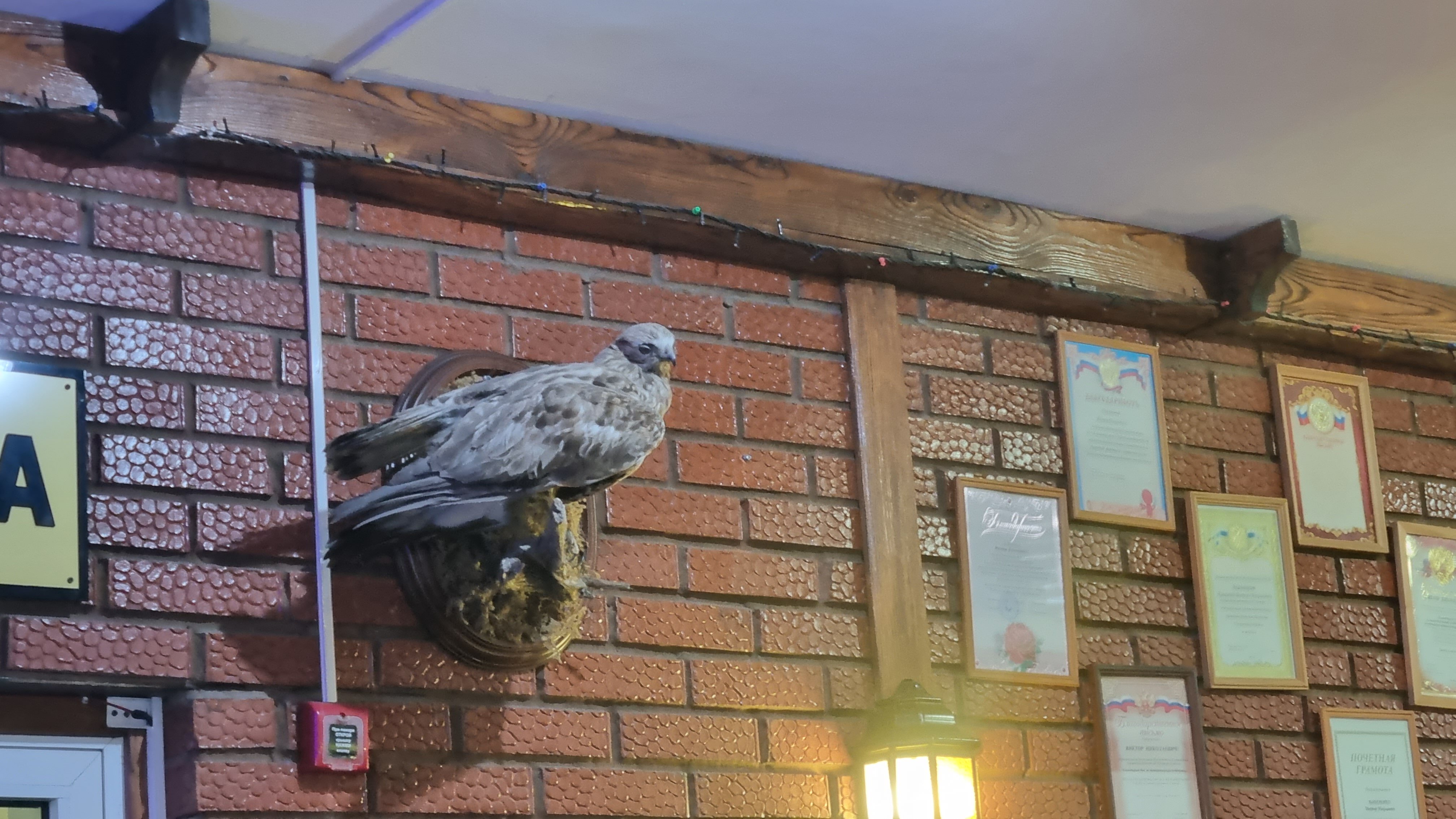 Фото У моста