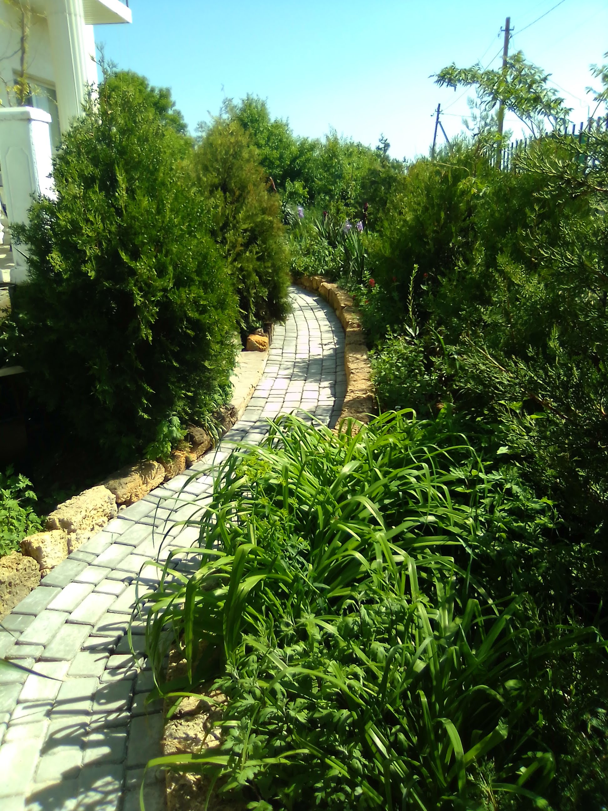 Фото Империал