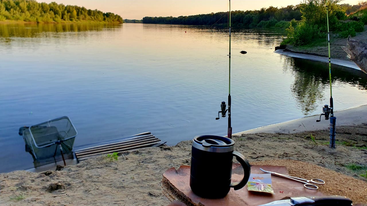 Фото База Звезда