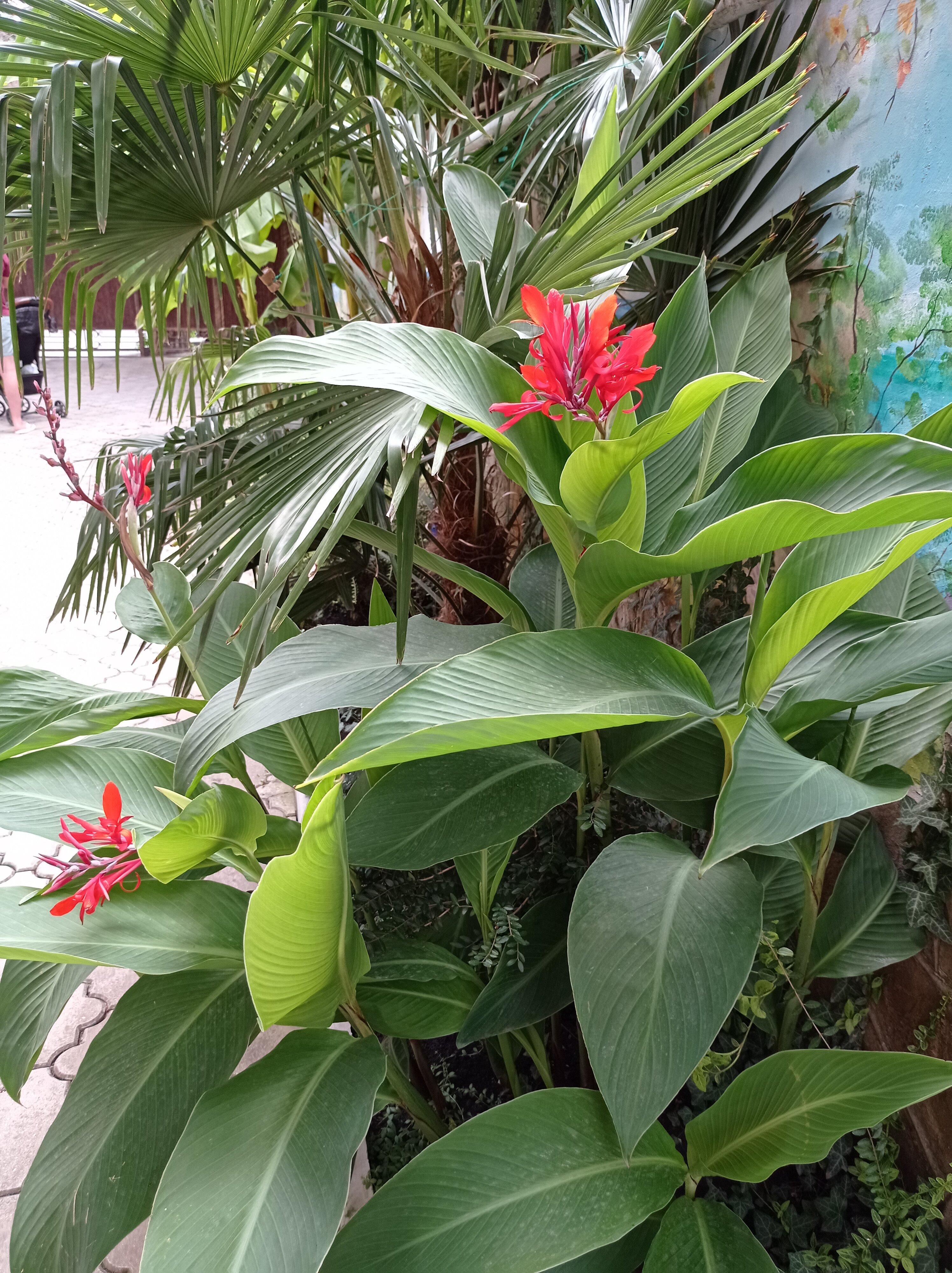 Фото Бригантина