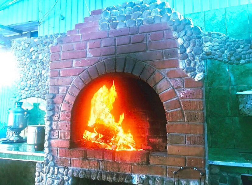 Фото Береза