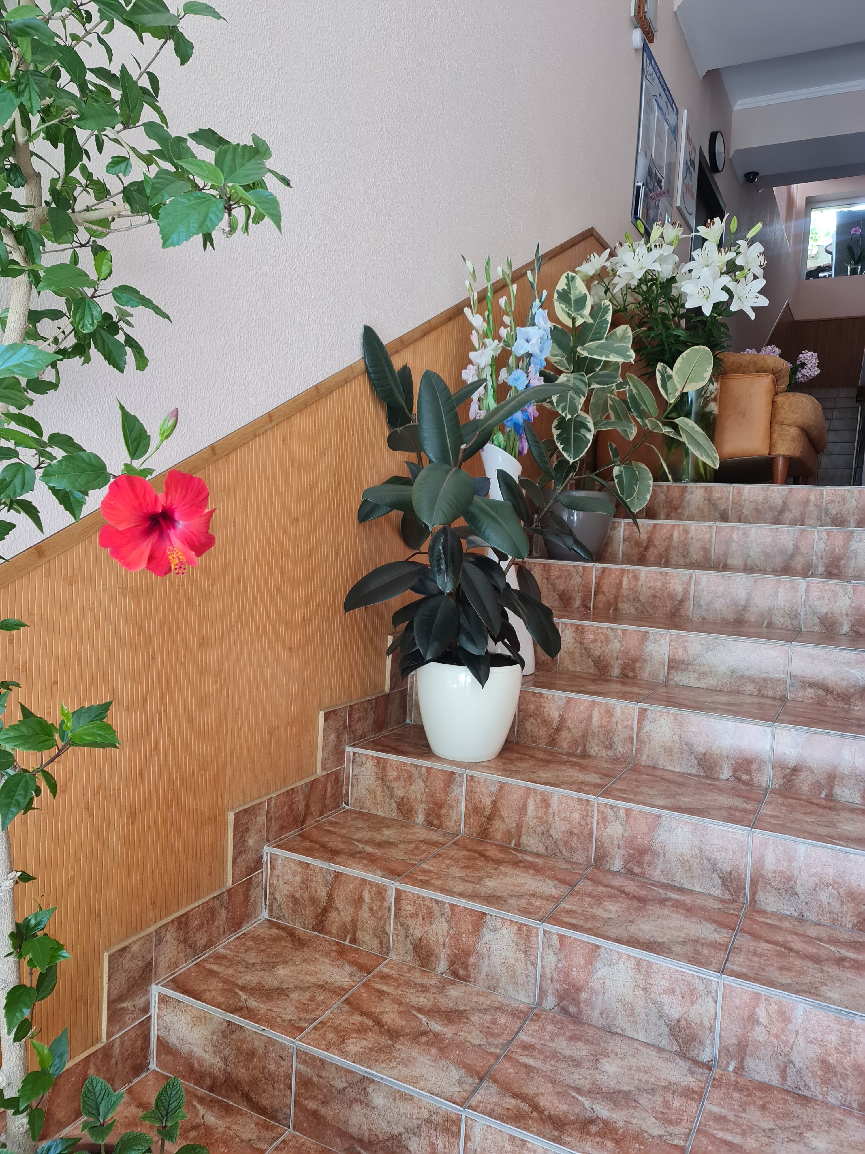 Фото Вилла Relax