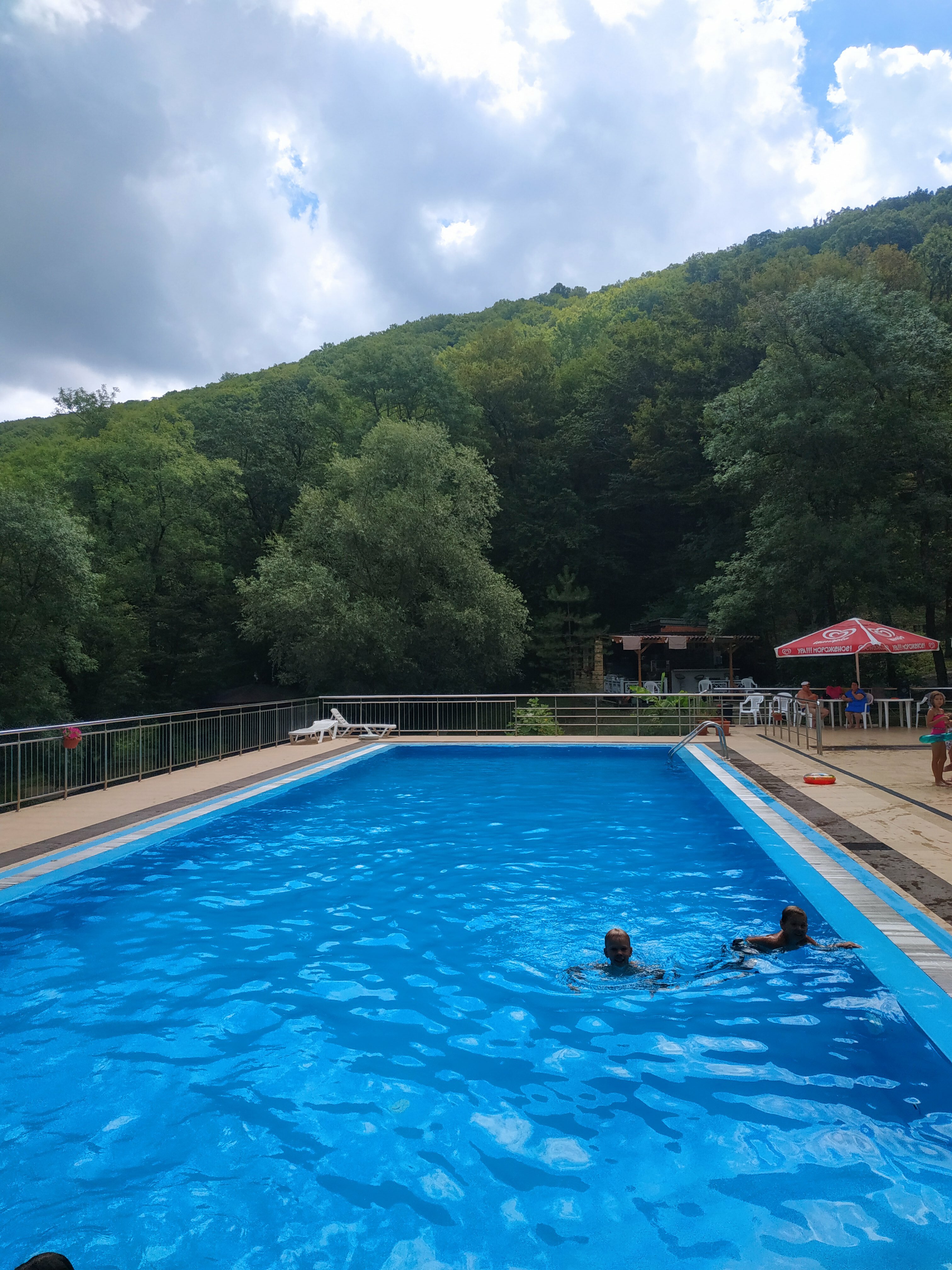 Фото Примула