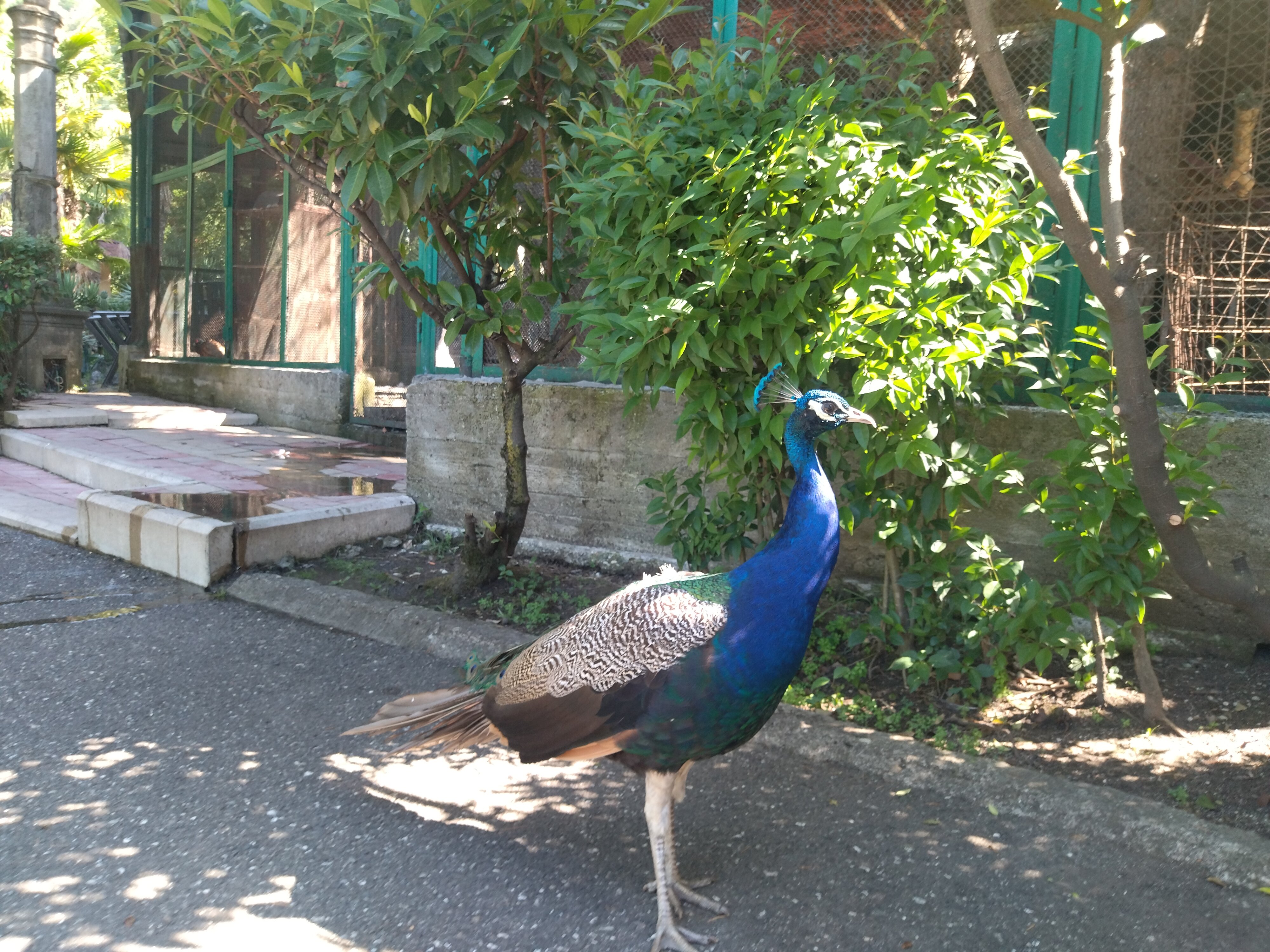 Фото Вилла Леона