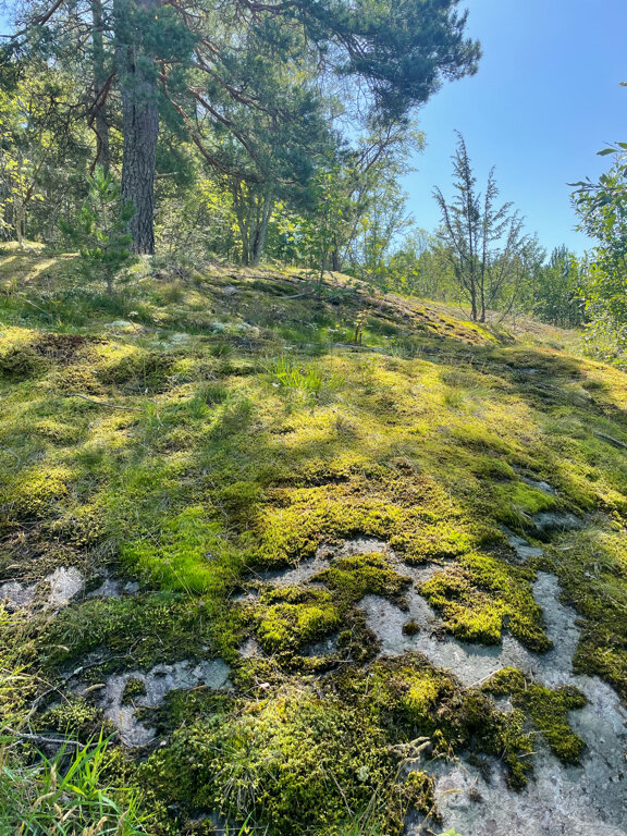 Фото Остров Мейери