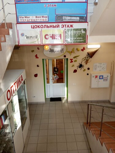Сауда орталығы Арго, Коломна, фото