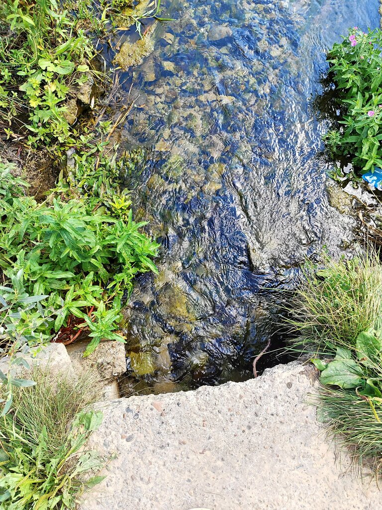 Spring, stream Ельшанский родник, Volgograd Oblast, photo