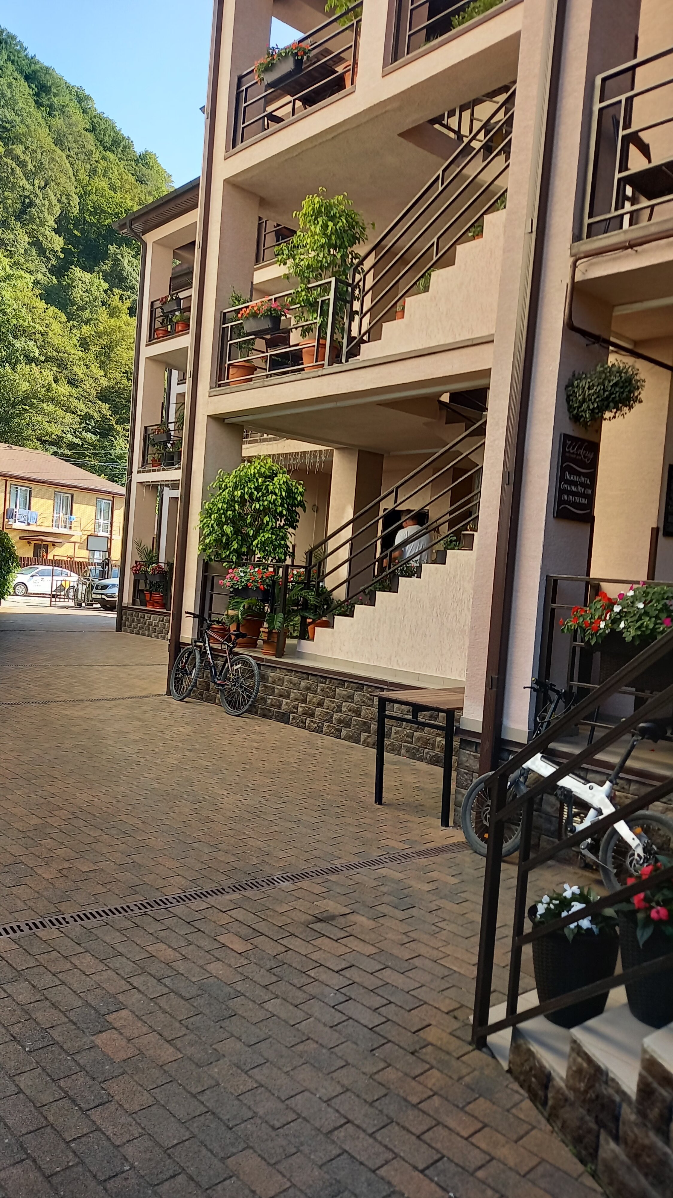 Фото Вероника