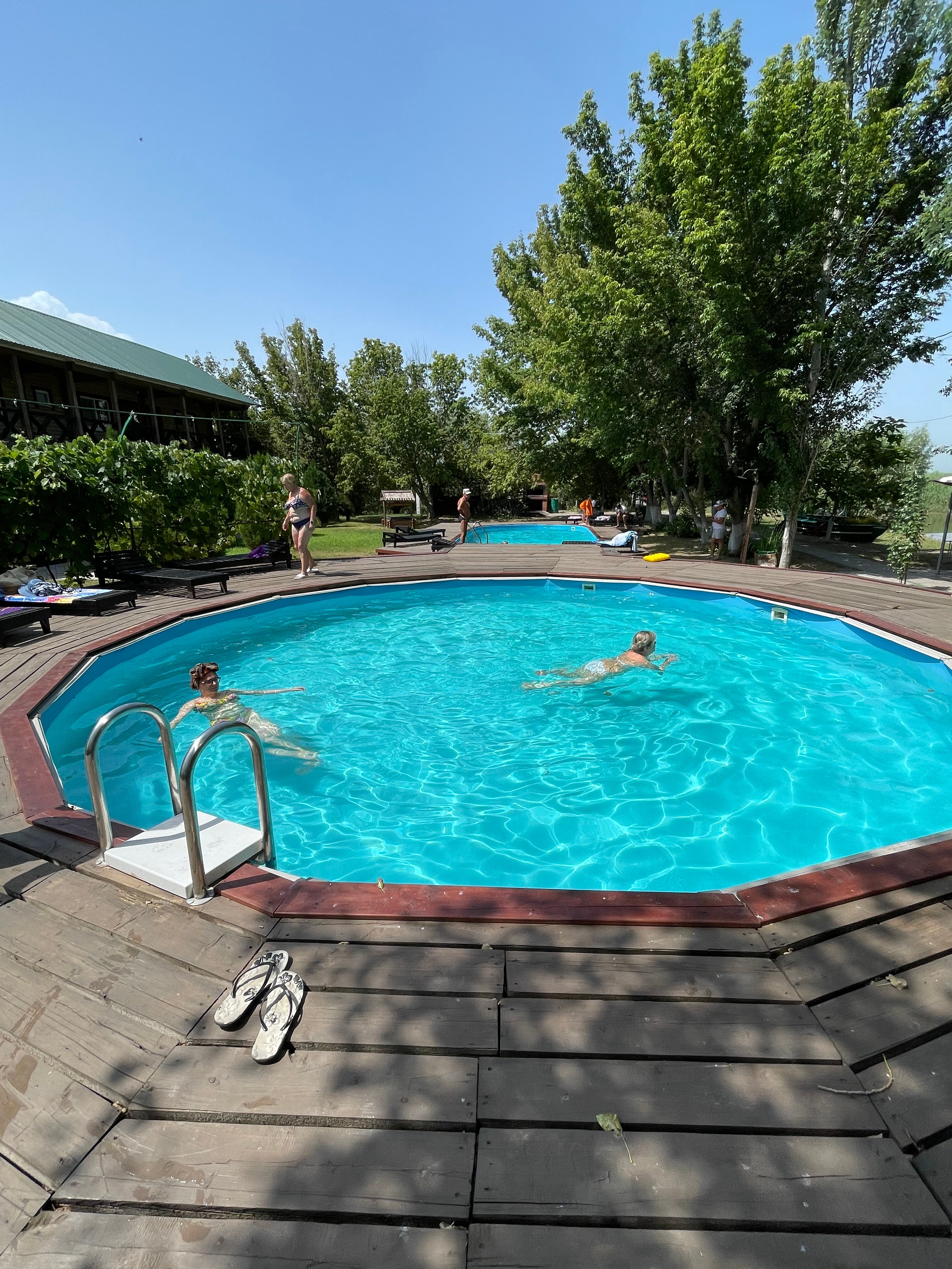 Фото Золотой Лотос