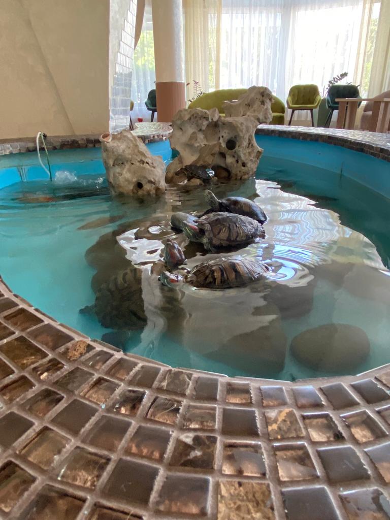 Фото Крымские зори