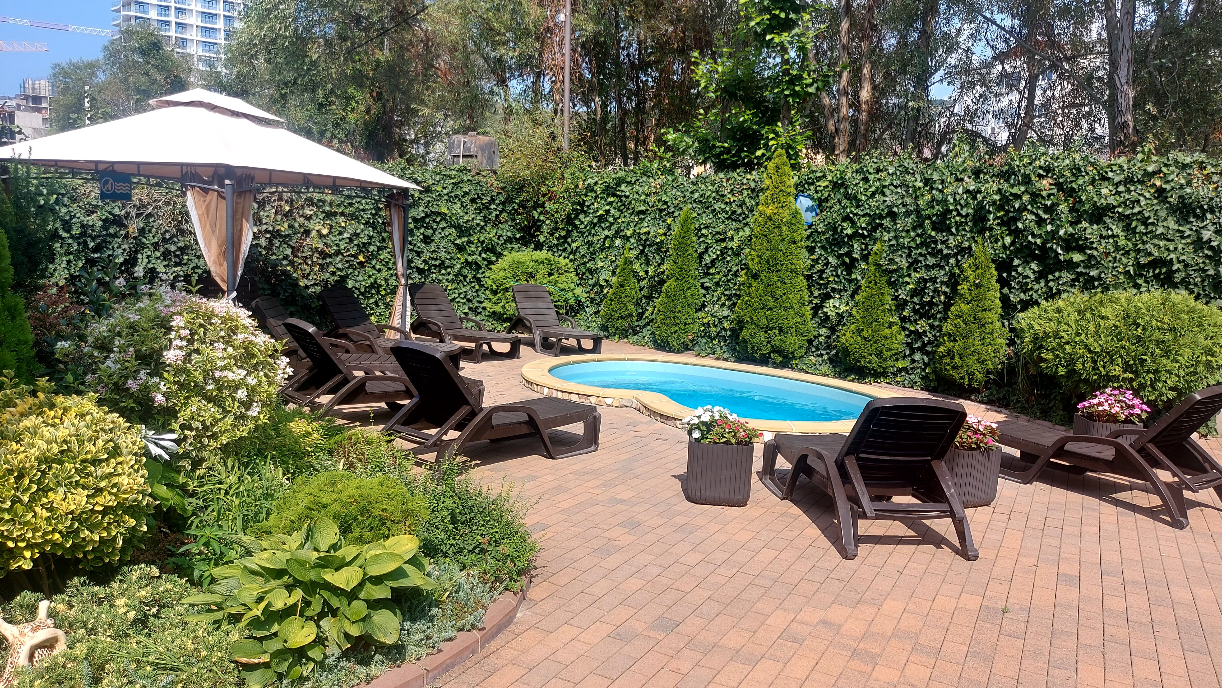 Фото Брауни