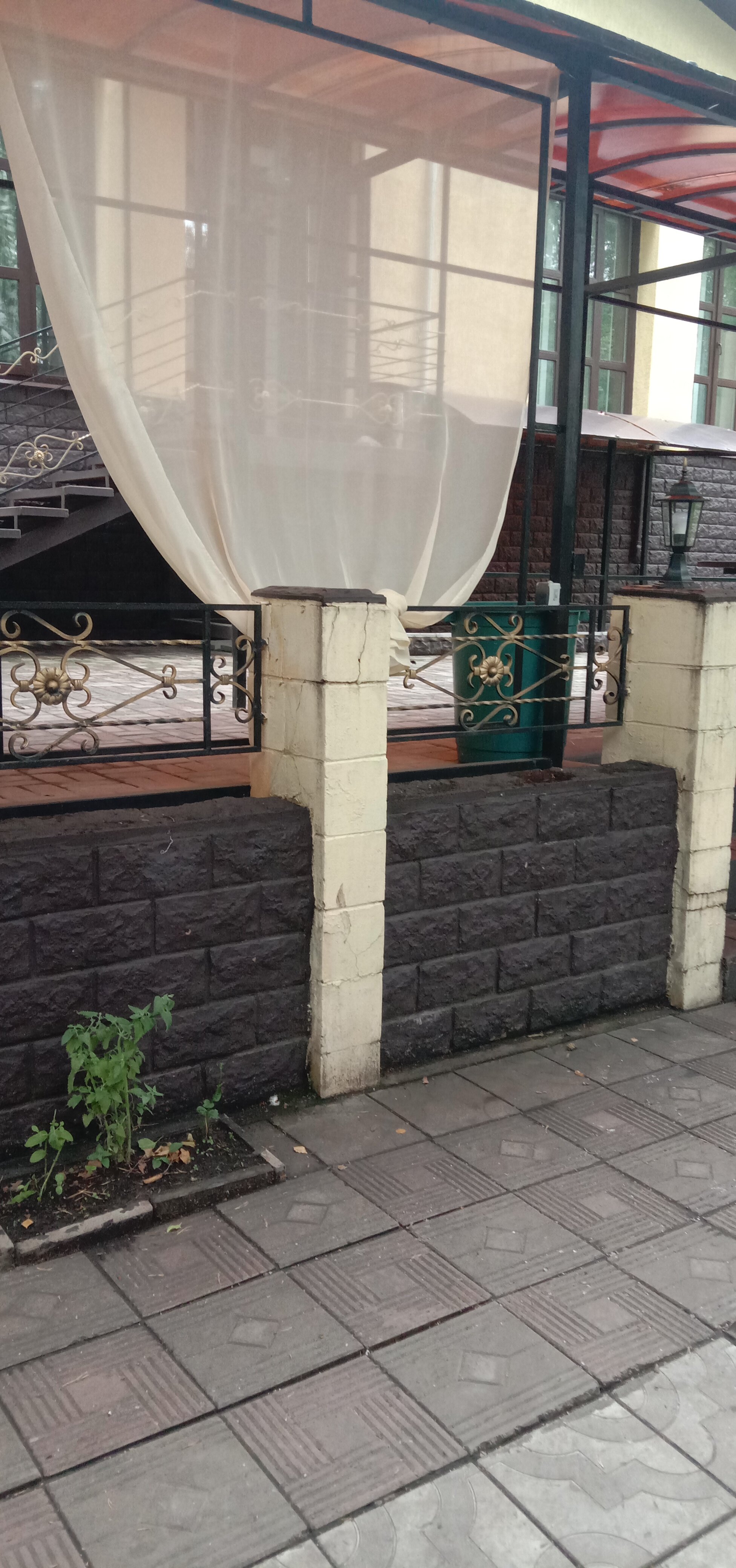 Фото Лесной