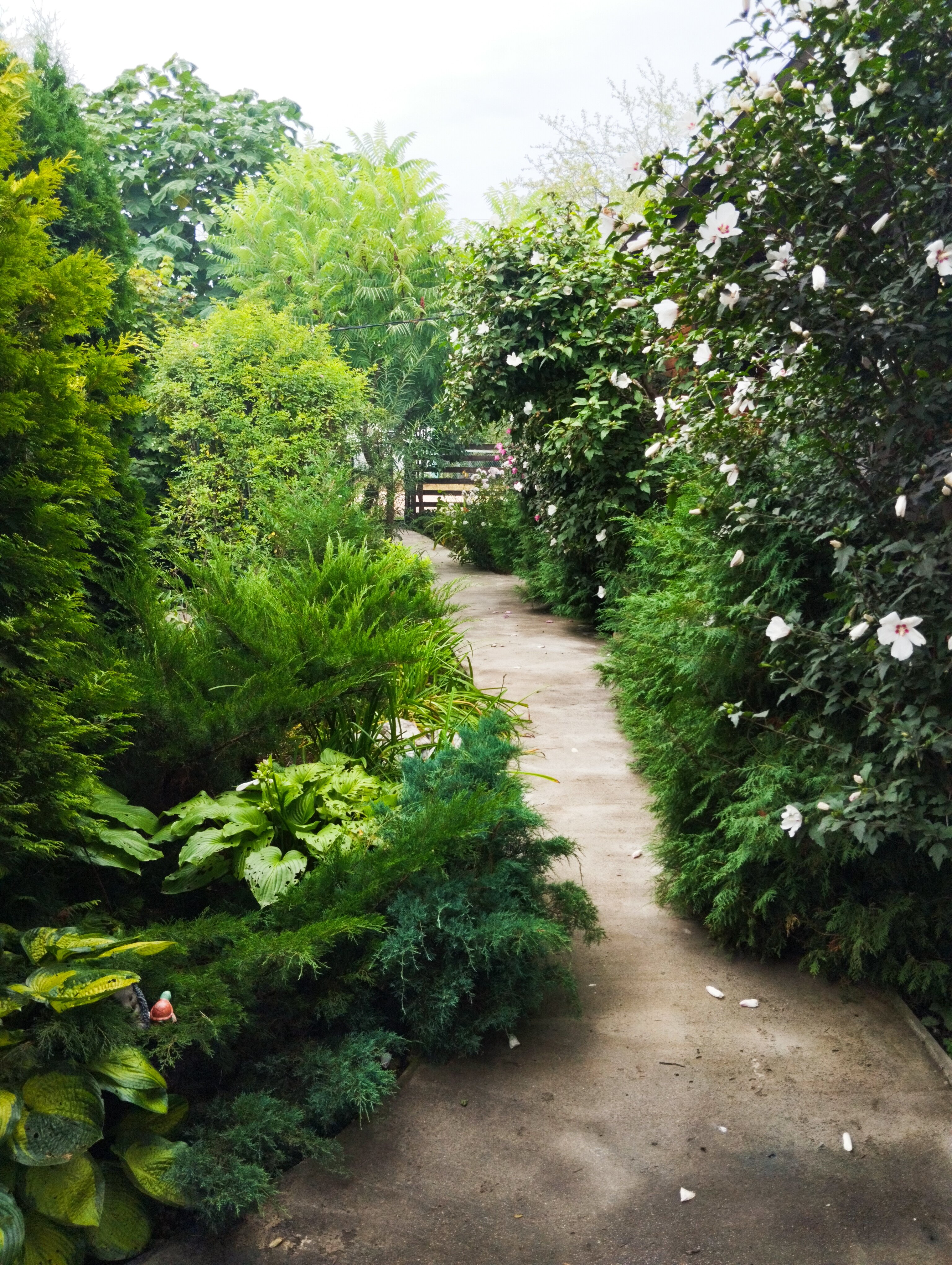 Фото Зелёный уголок