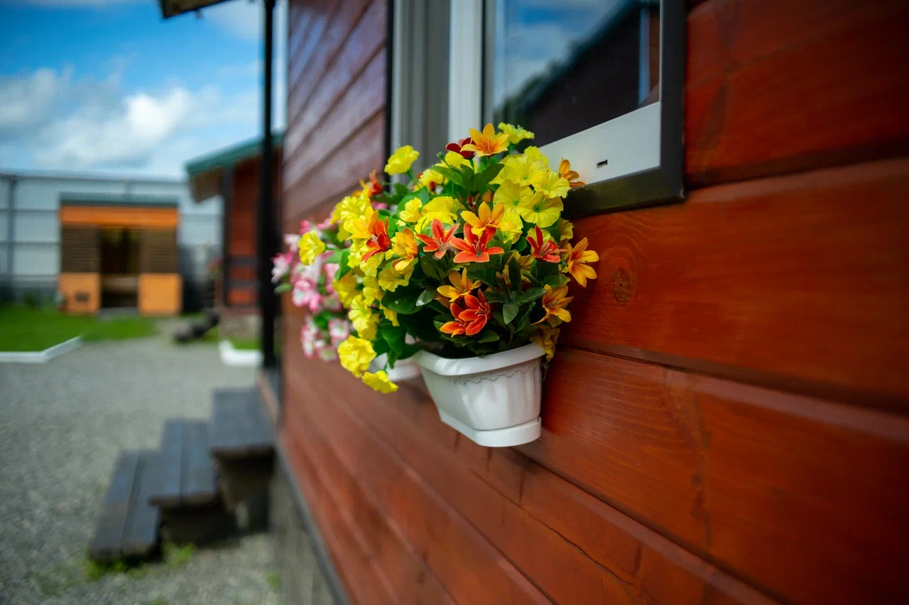 Фото Вилла Позитив