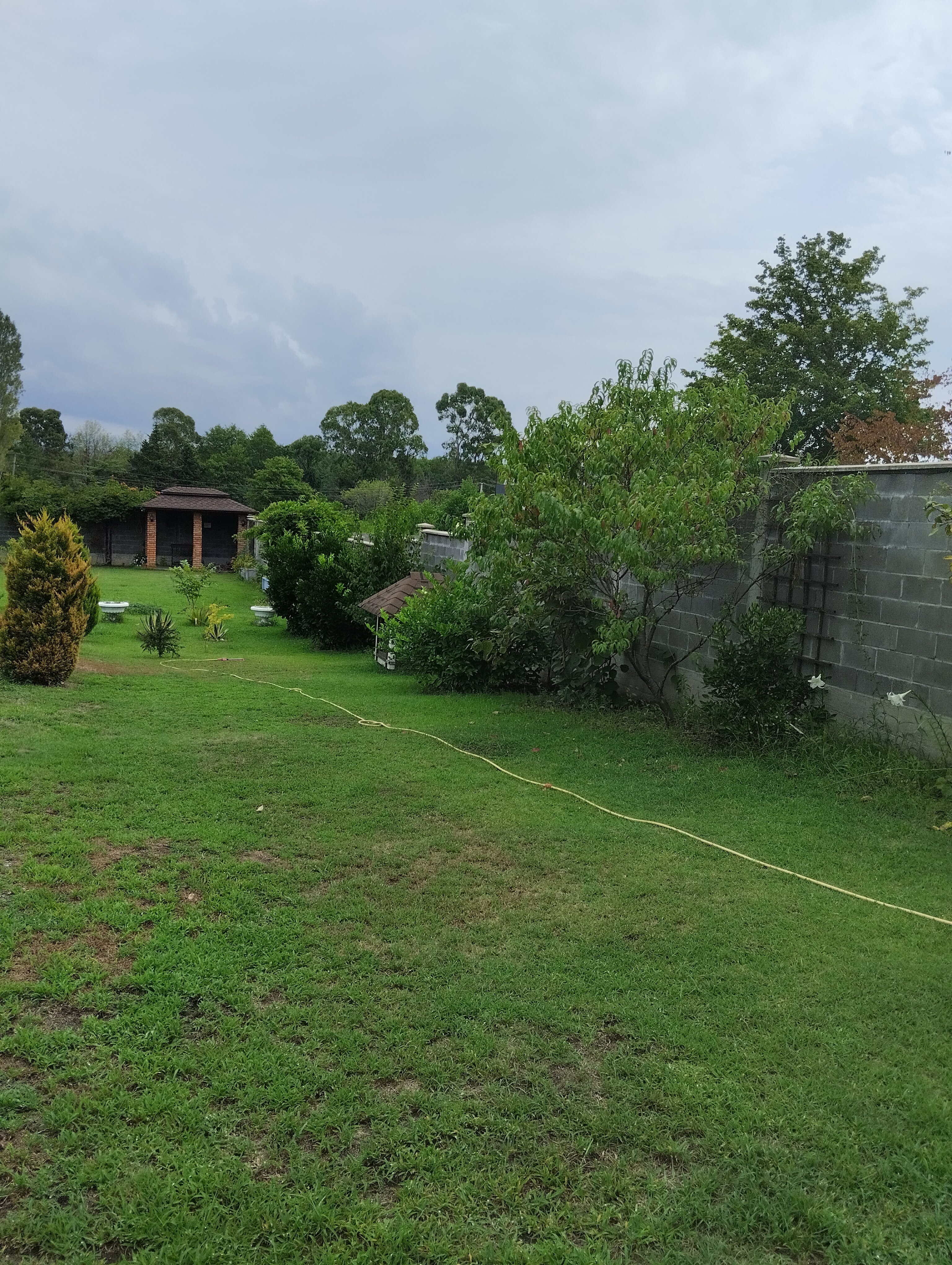 Фото Абазгия