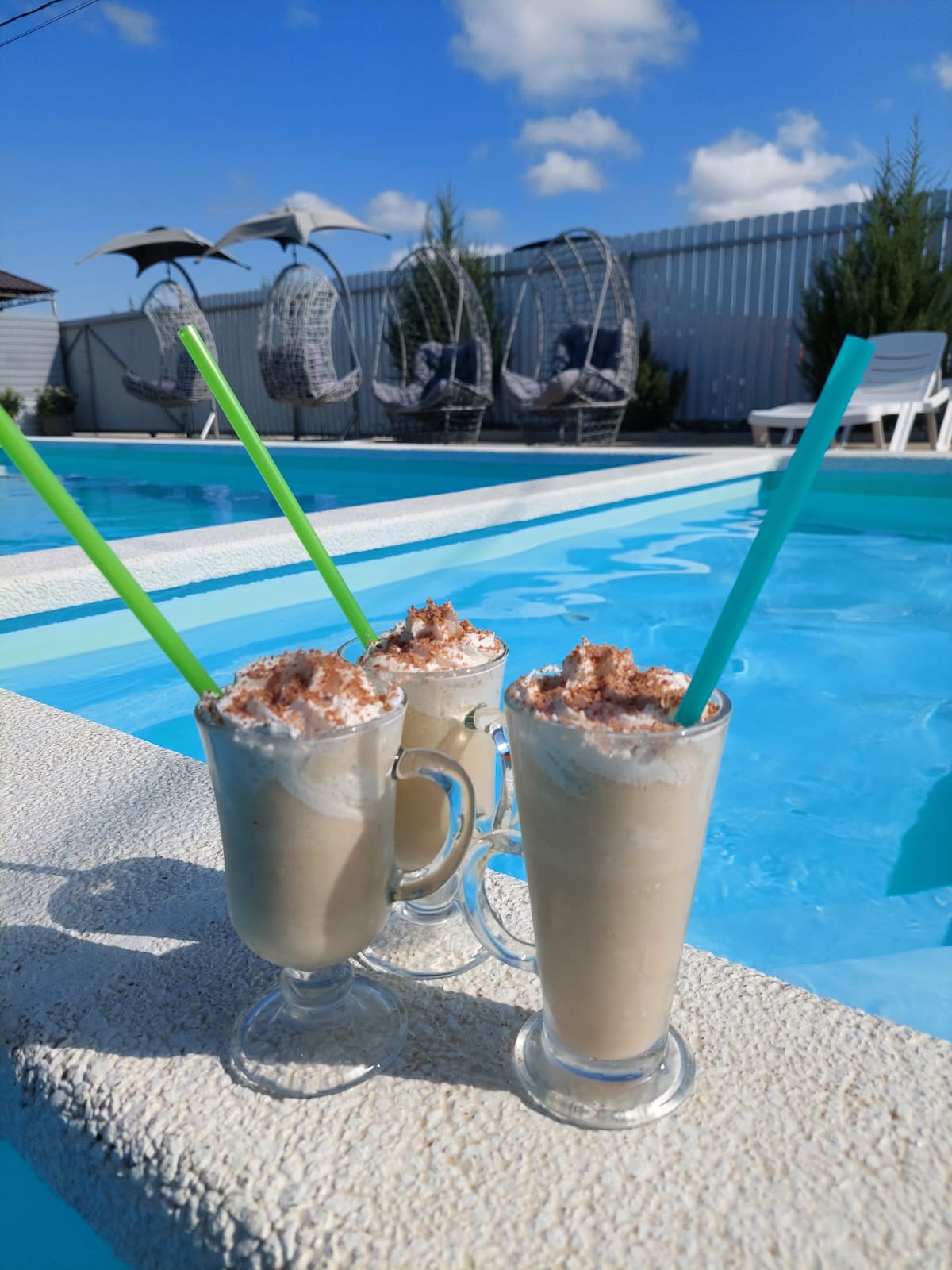 Фото Азовская чайка