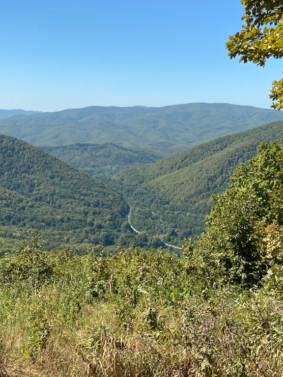 Фото Экотель