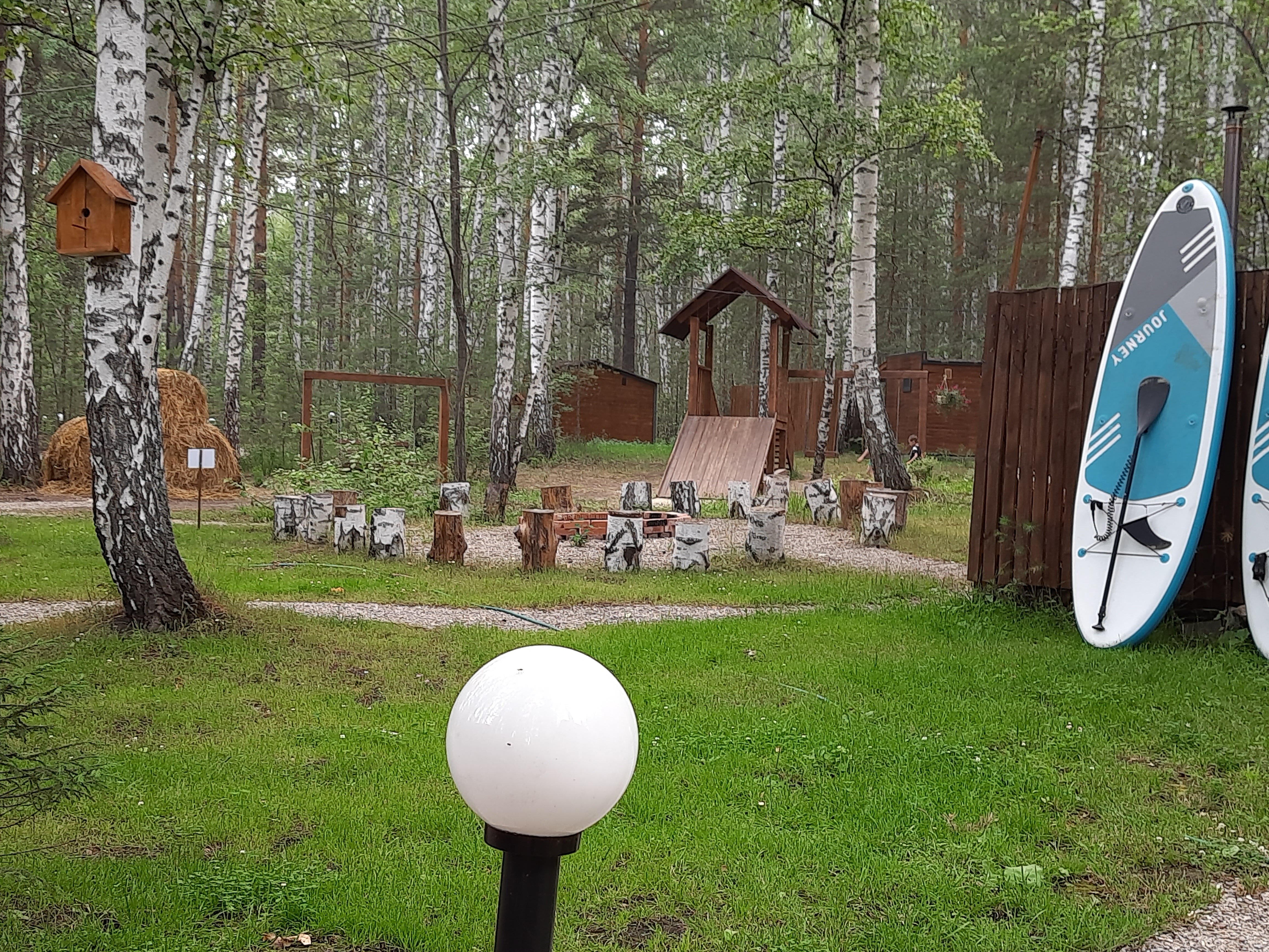 Фото Лесотерапия