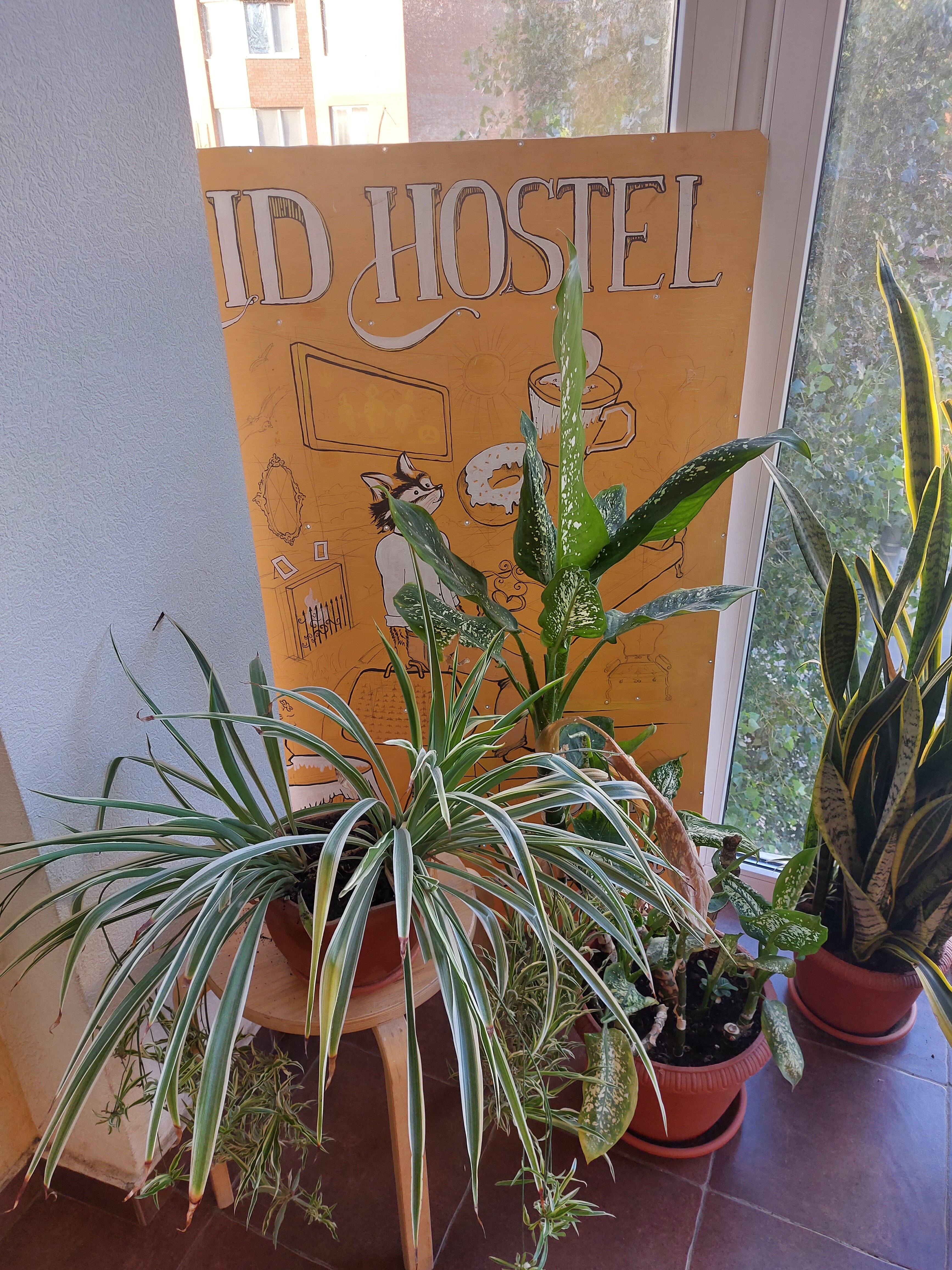 Фото АйДи Хостел