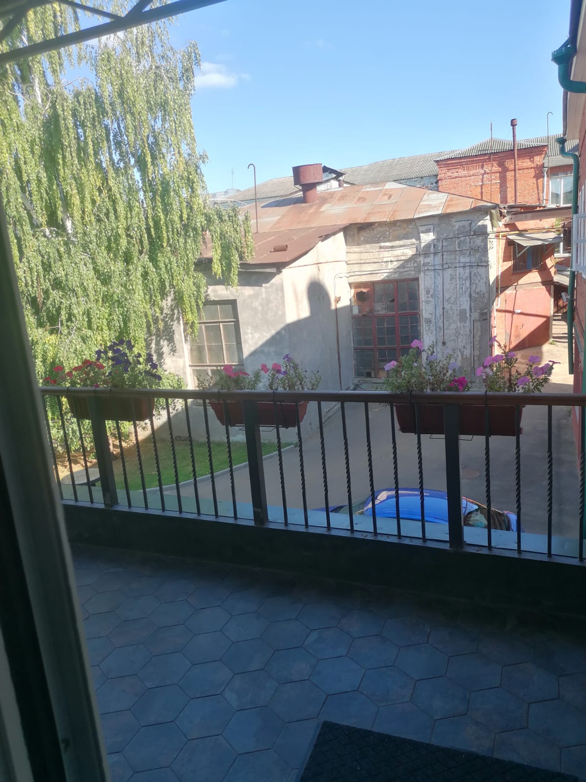 Фото Два гуся