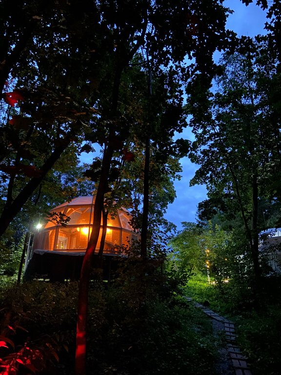 Фото Клевер