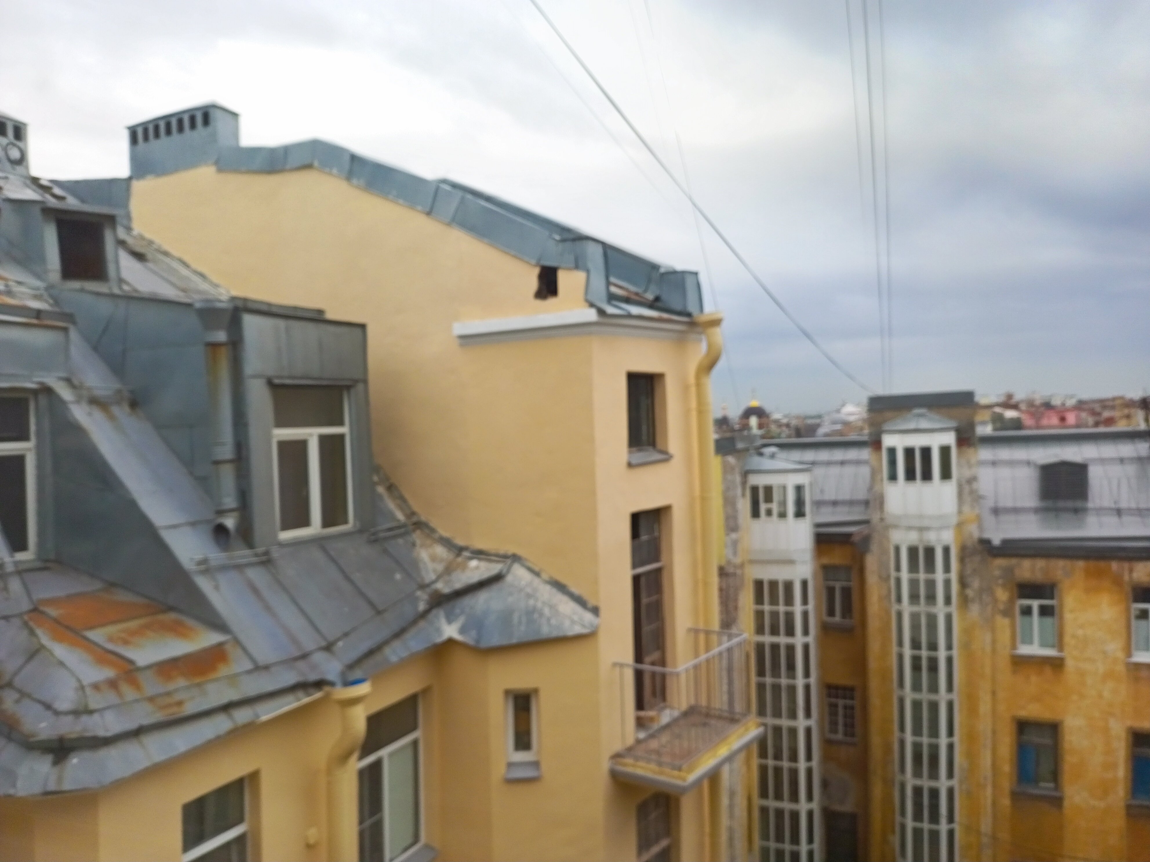 Фото Демократ