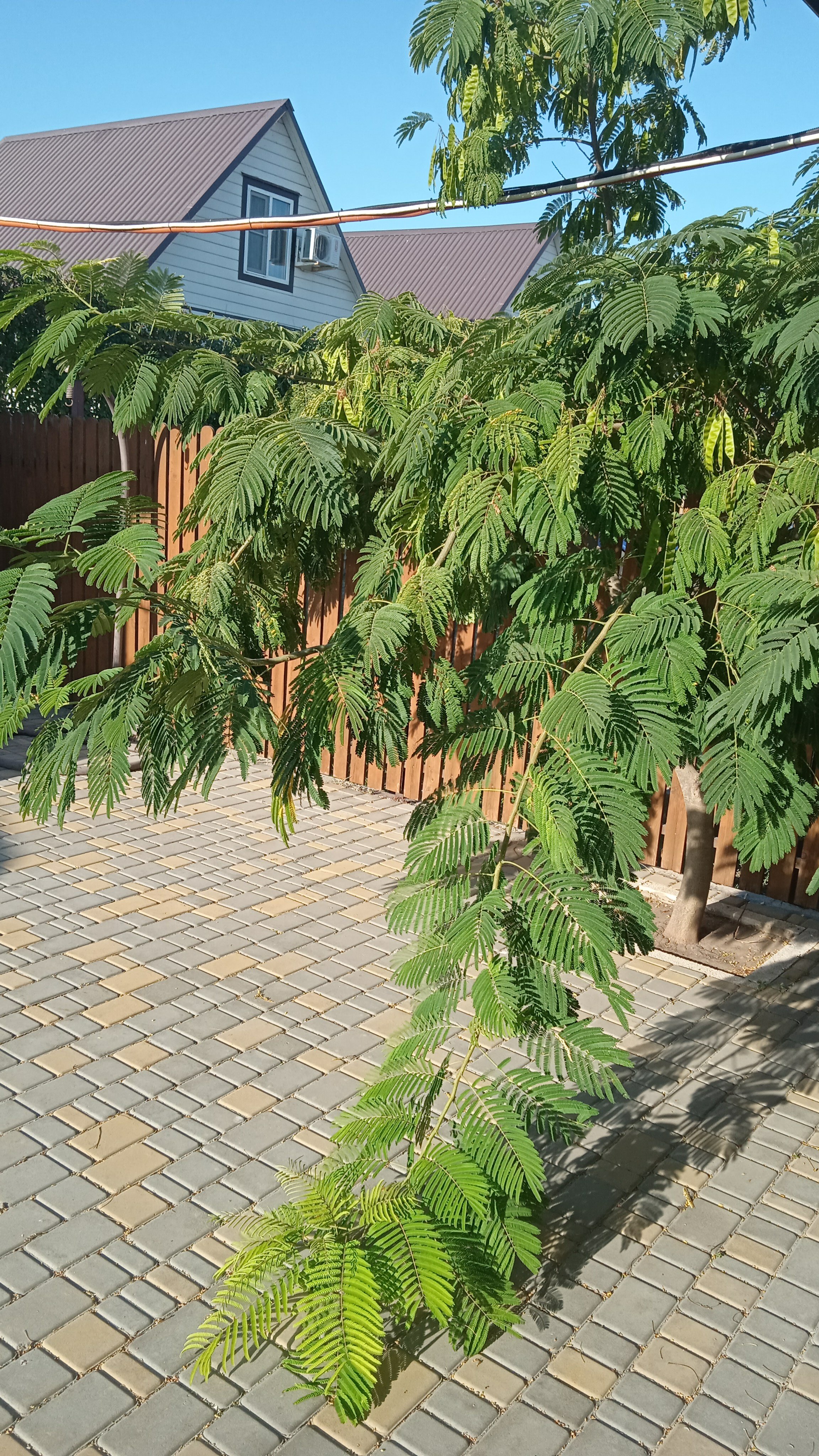 Фото Коттеджный комплекс Три Моря