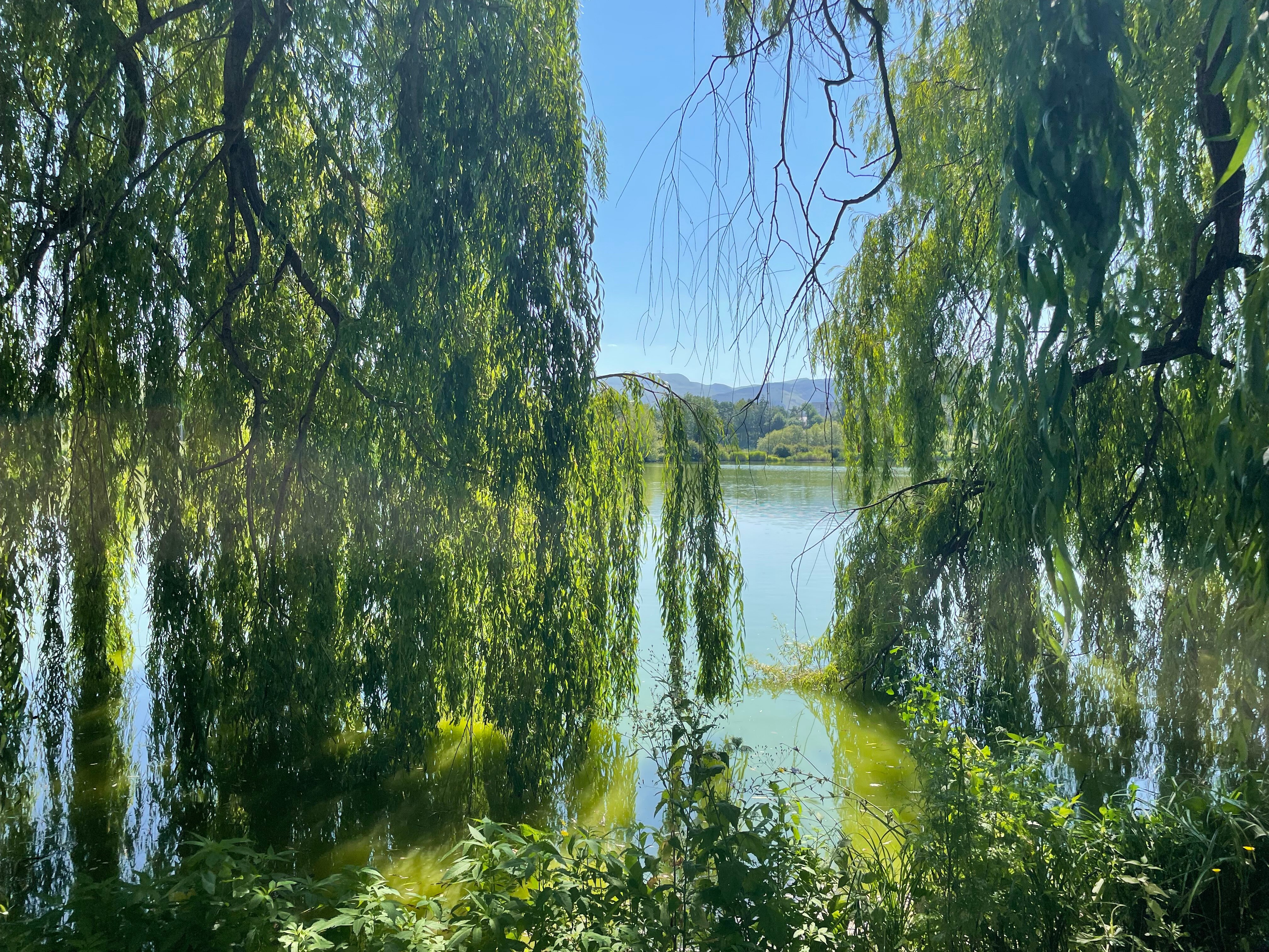 Фото Лагуна