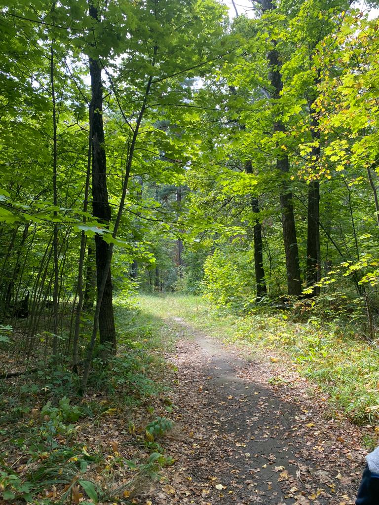 Фото Лесная жемчужина