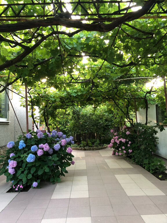 Фото Летний сад