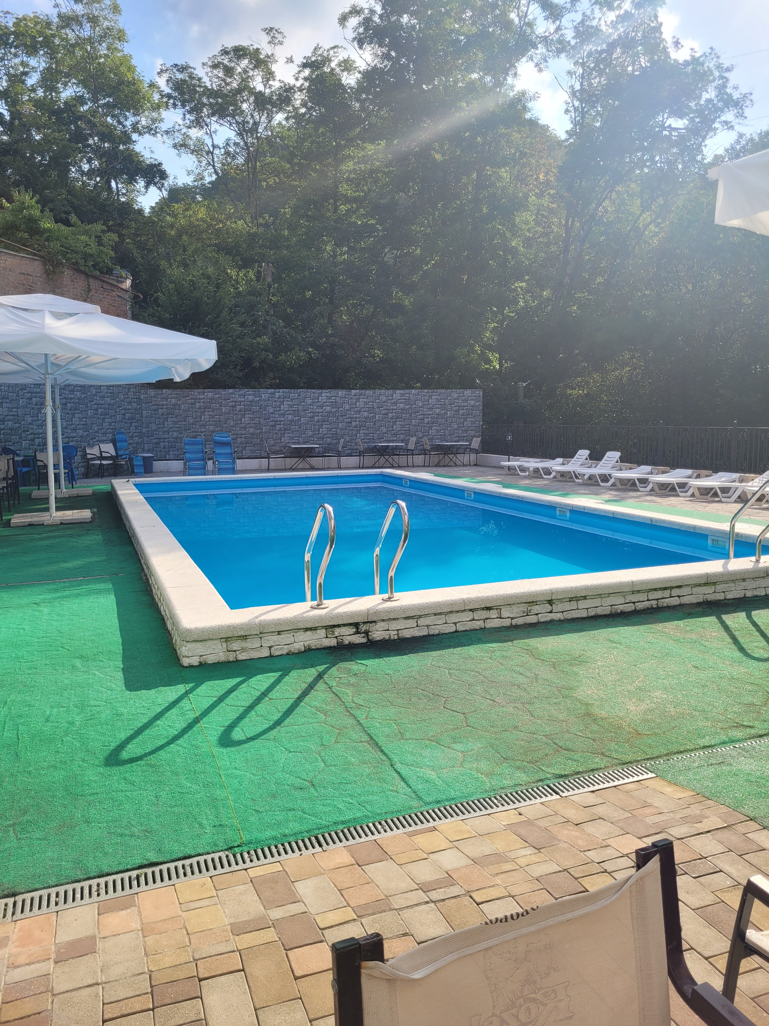 Фото Ласточка