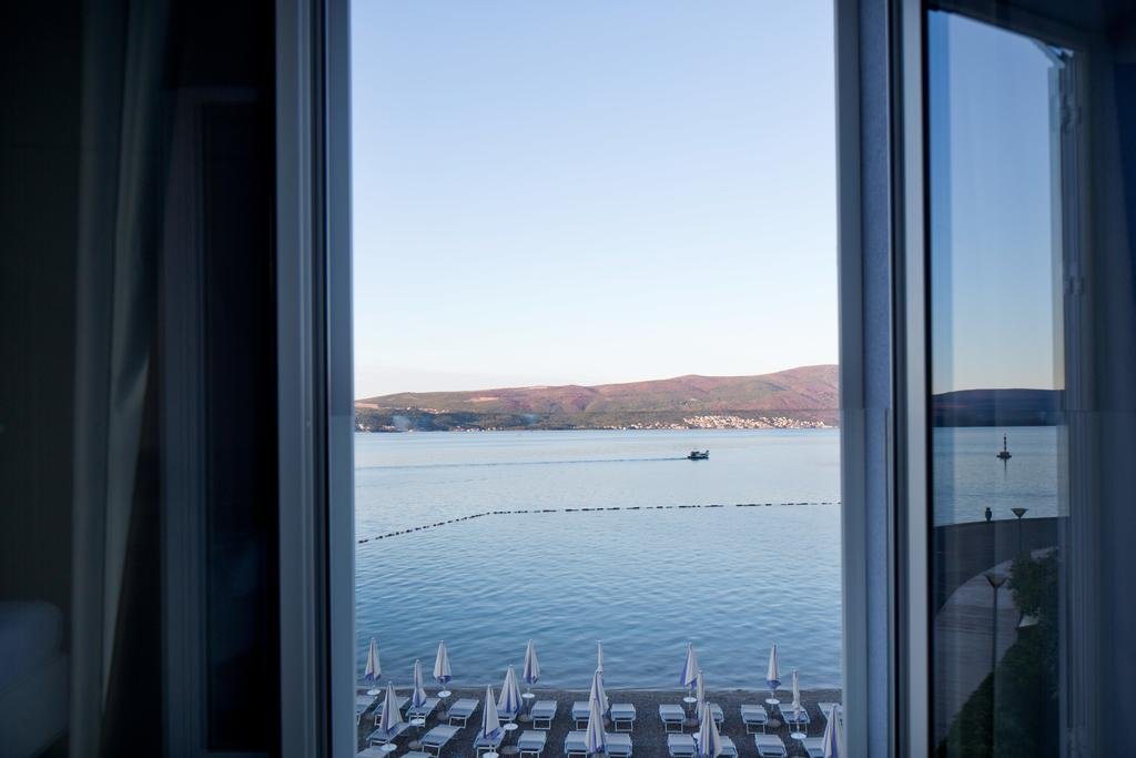 Фото Пальма