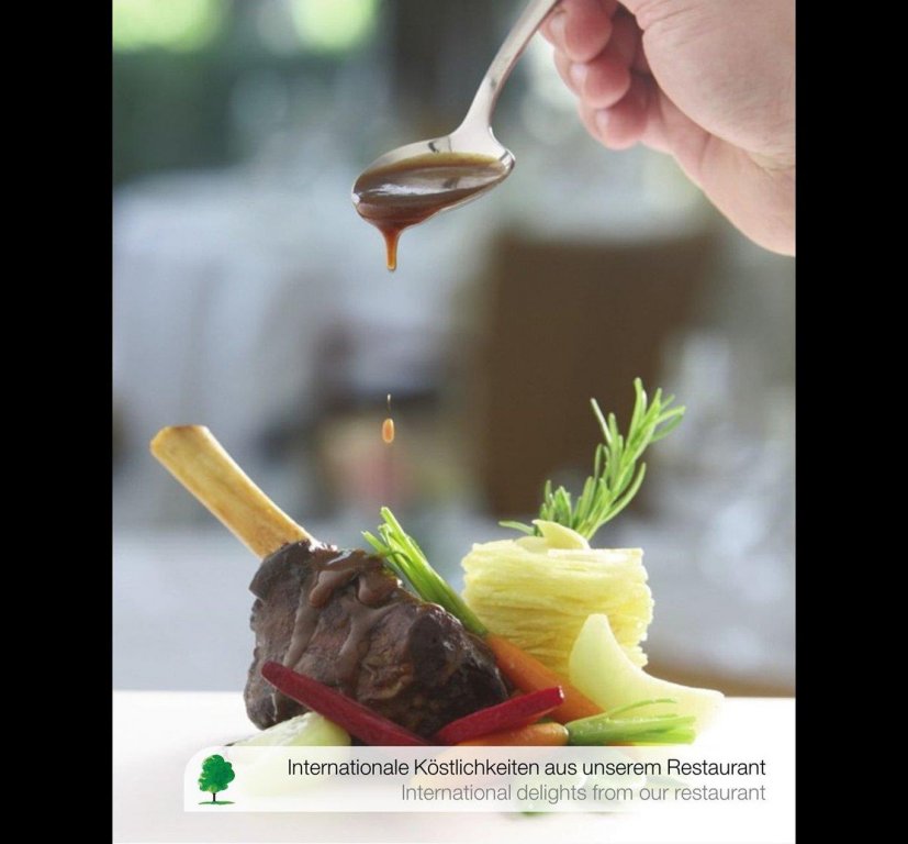 Фото Engimatt City & Garden Hotel