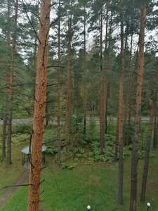 Баринова роща