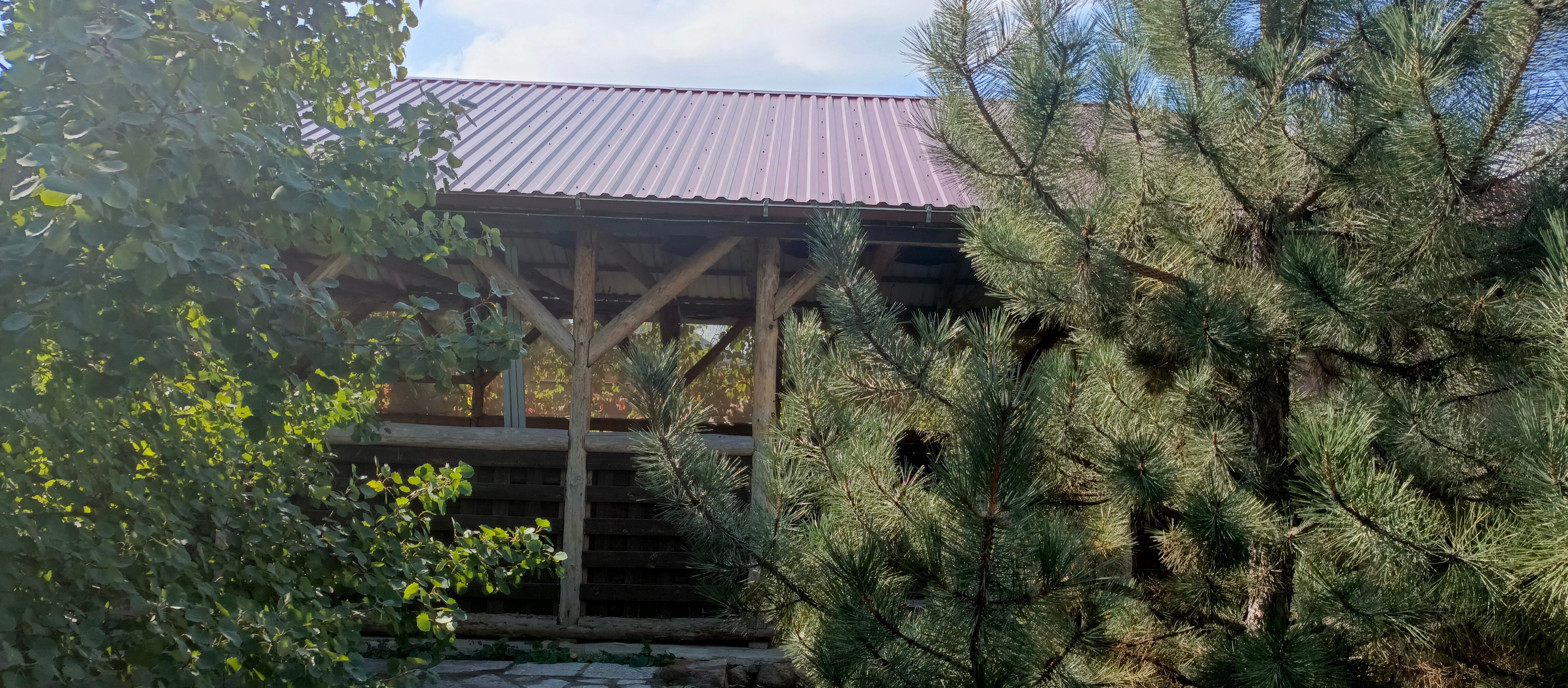 Фото Солнечная