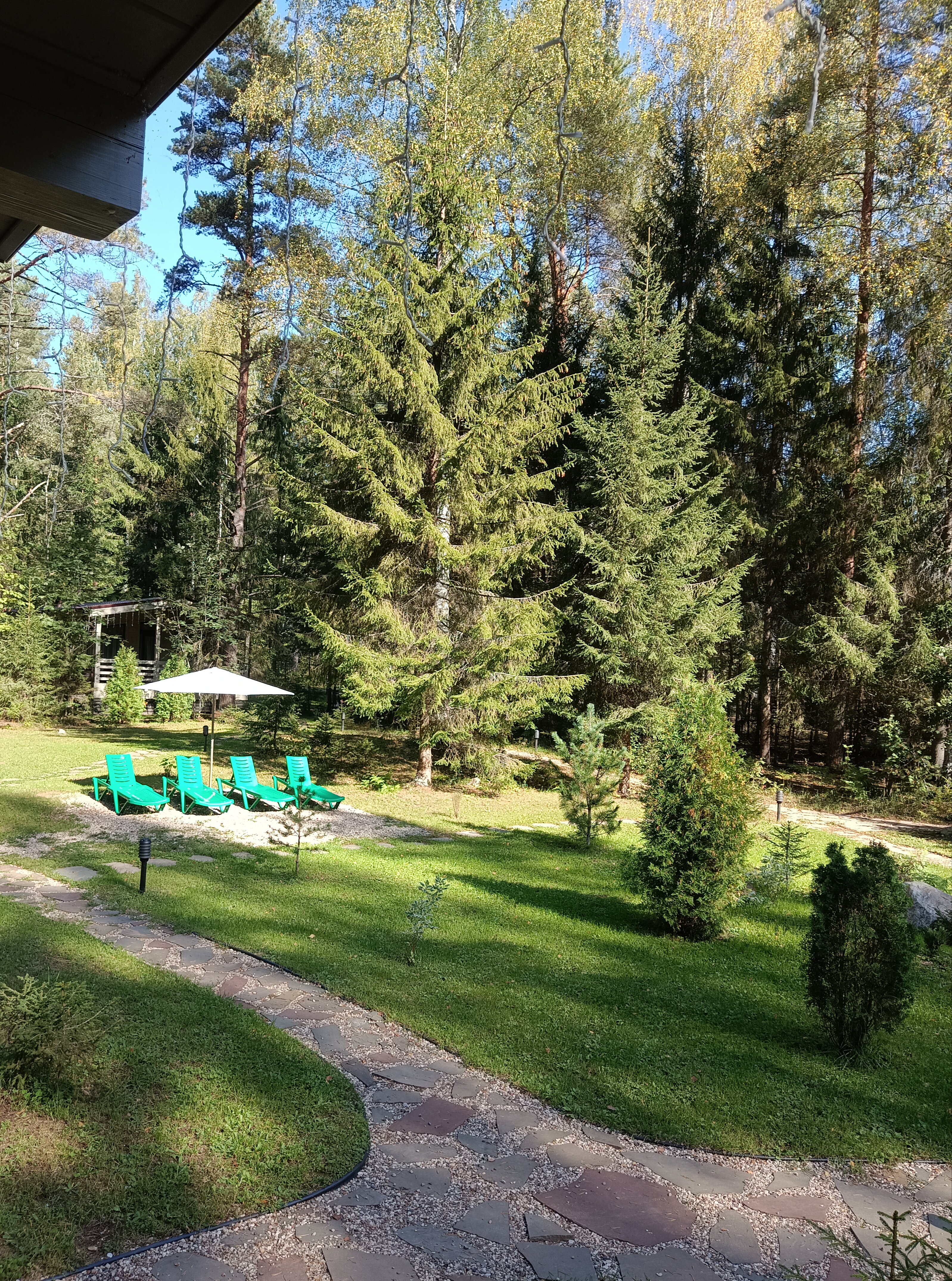 Фото Коттеджи в сосновом бору