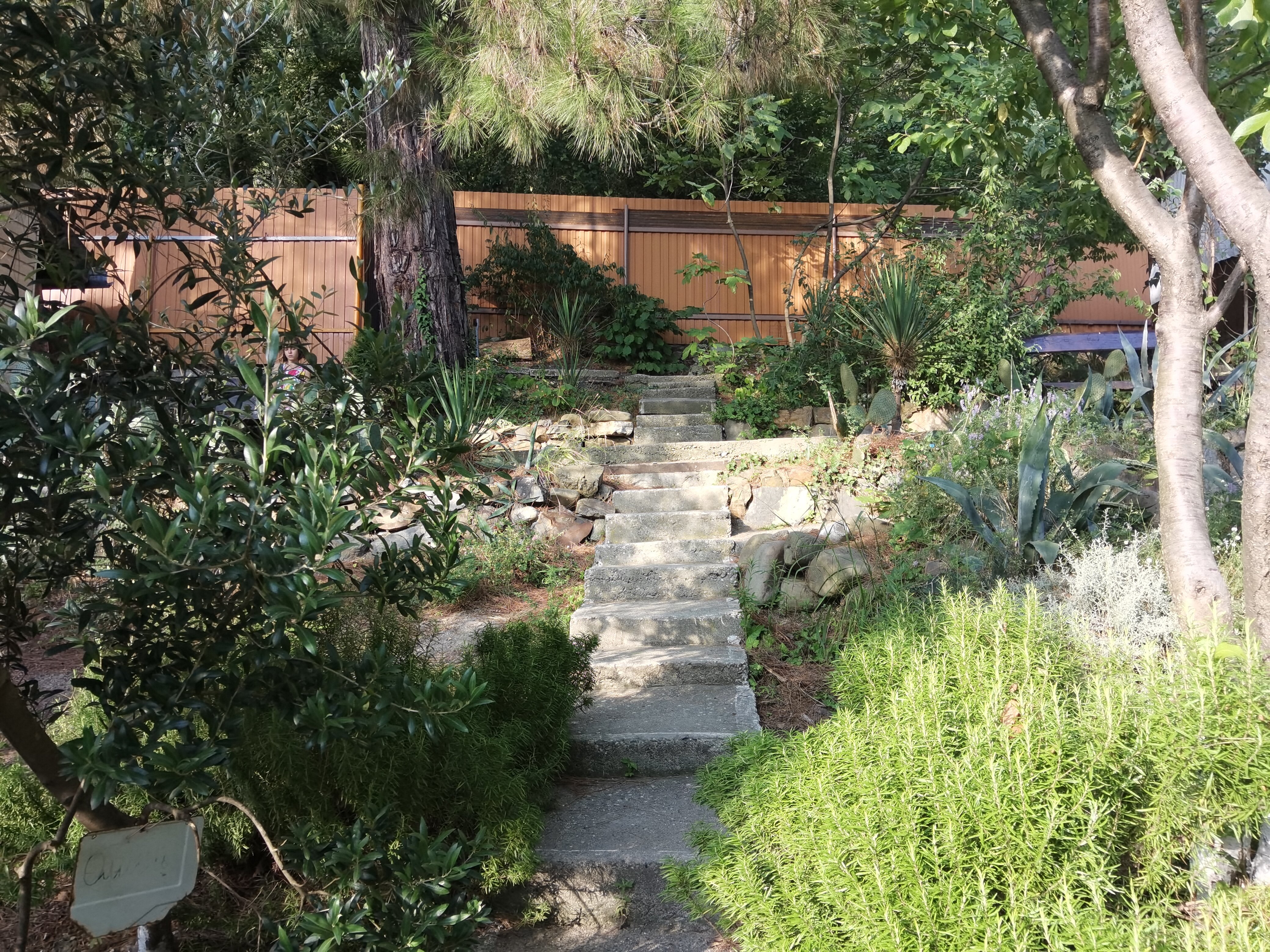 Фото Сосновый Бор