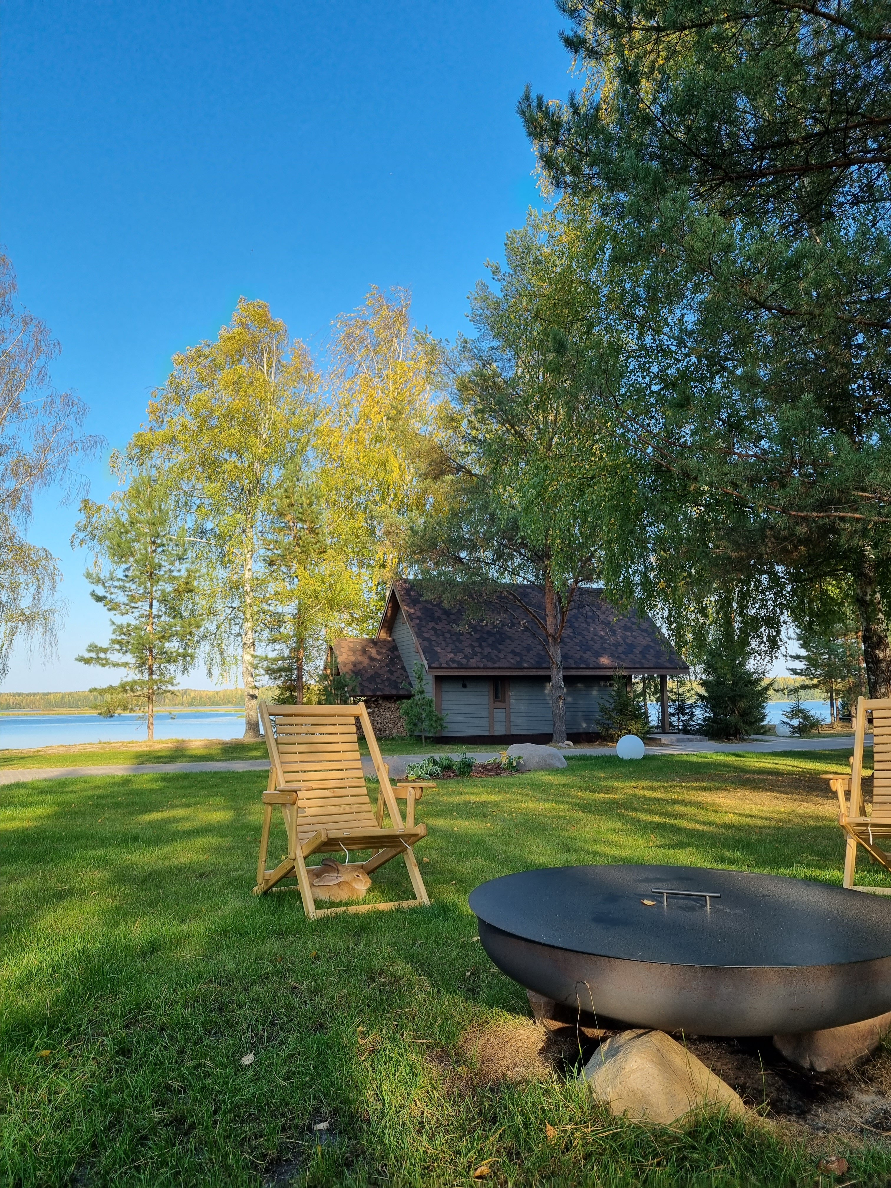 Фото Лунный Кролик