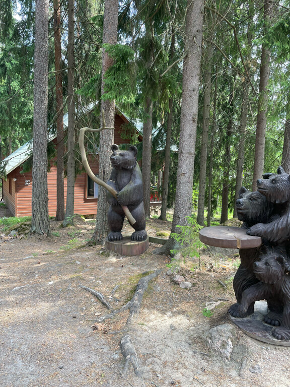 Фото Лесная сказка