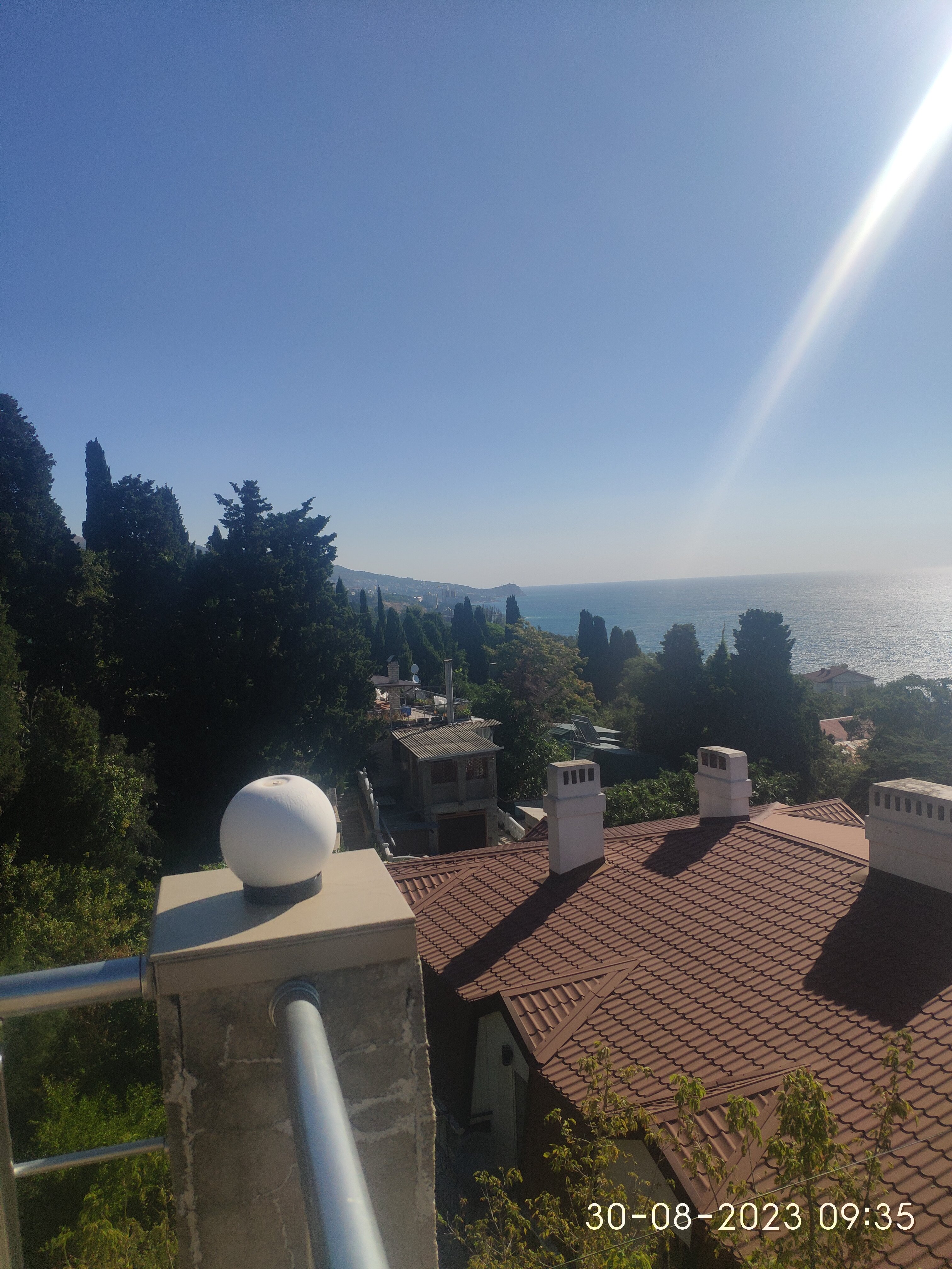 Фото Кедр-Запад