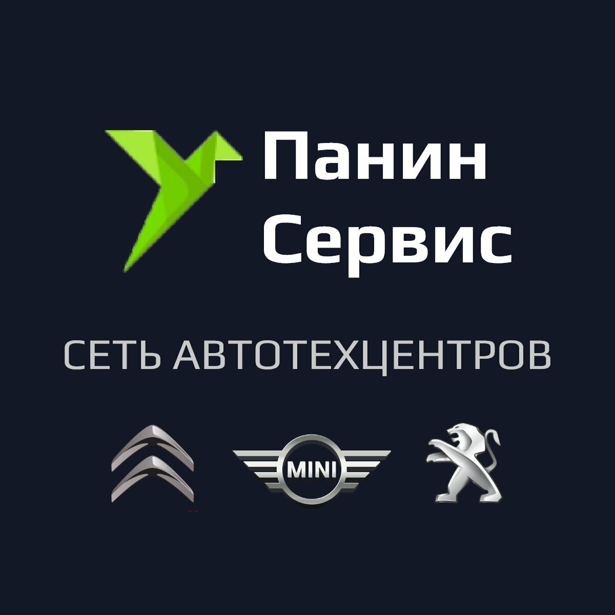 Панин сервис