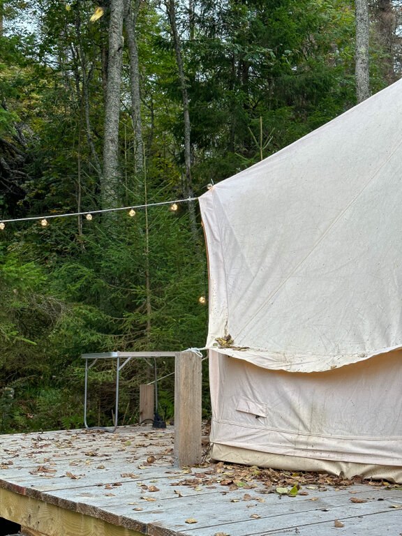 Фото Котопельто