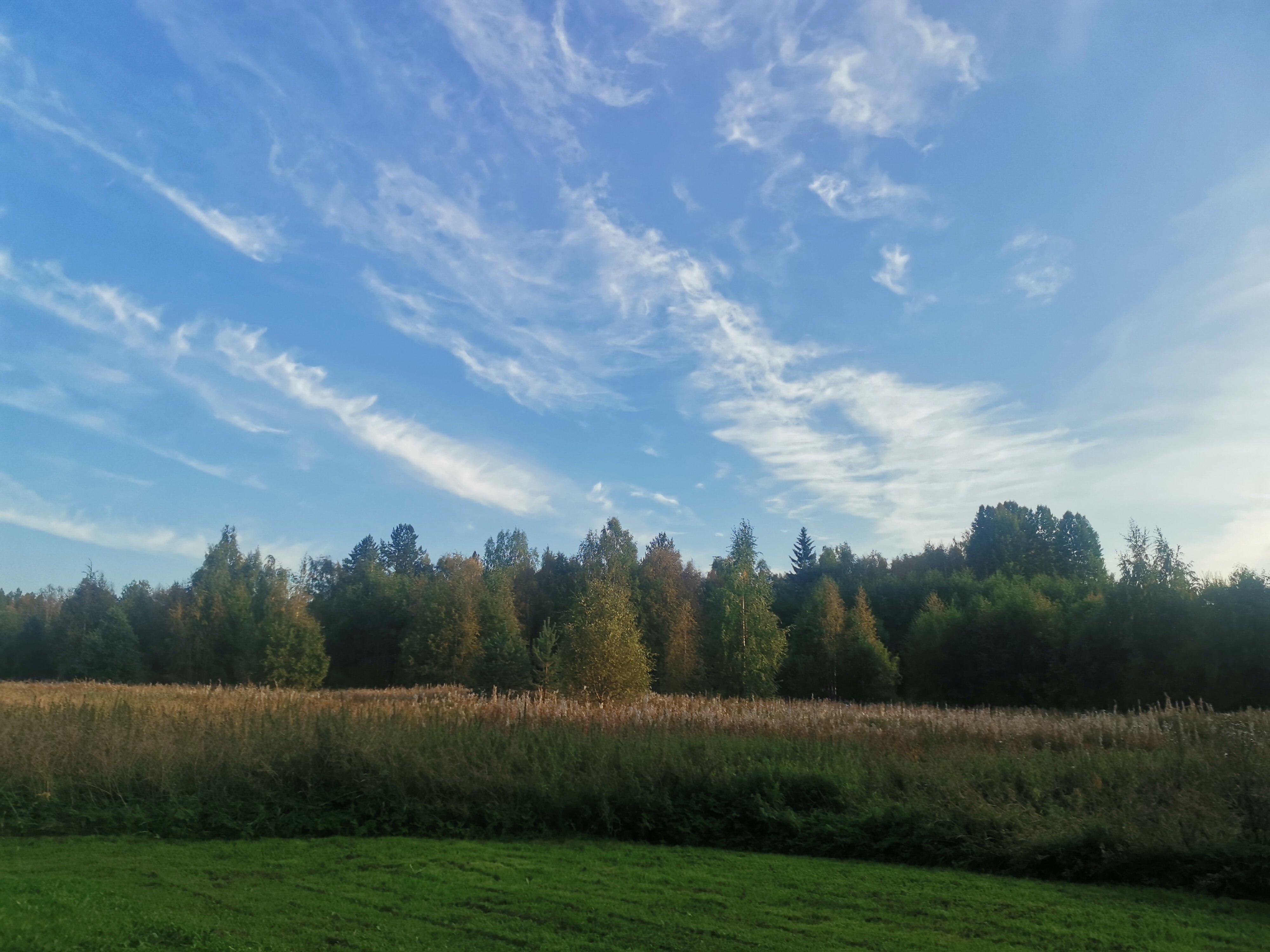 Фото Курмойла