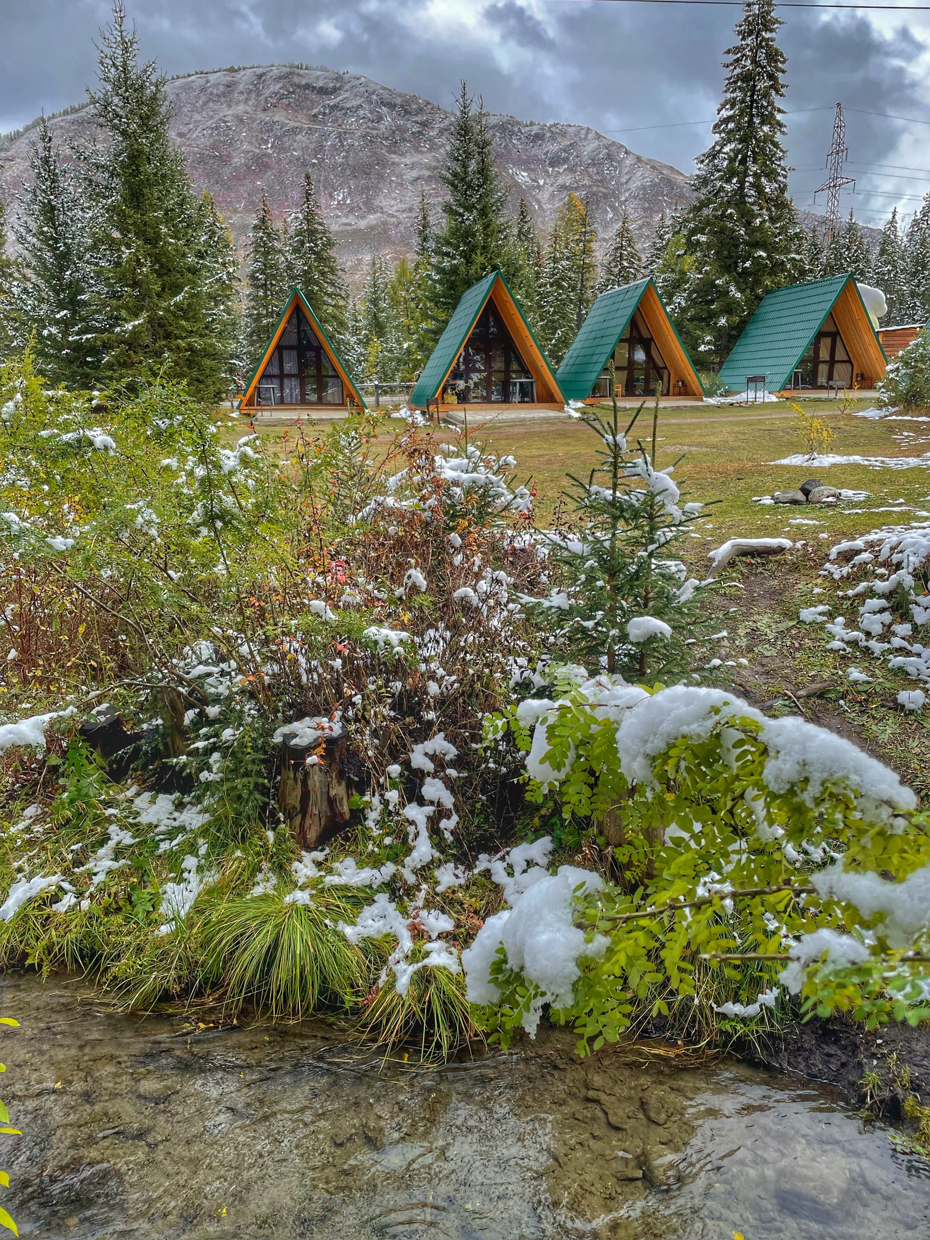 Фото Зелёный колобок