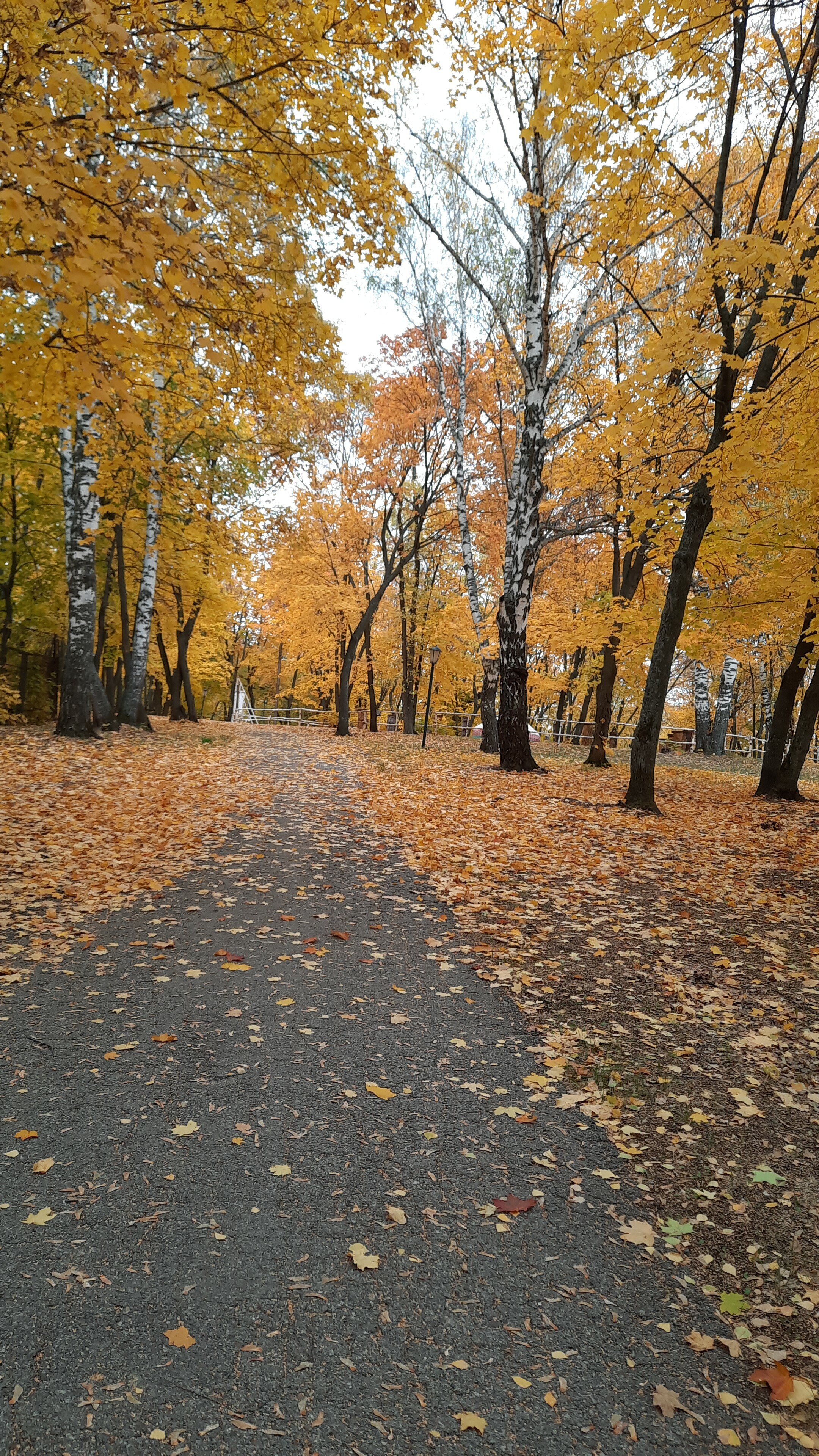 Фото Зеленая Роща