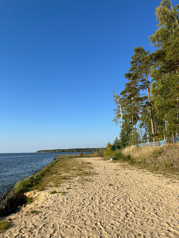 Чайка — фото 32