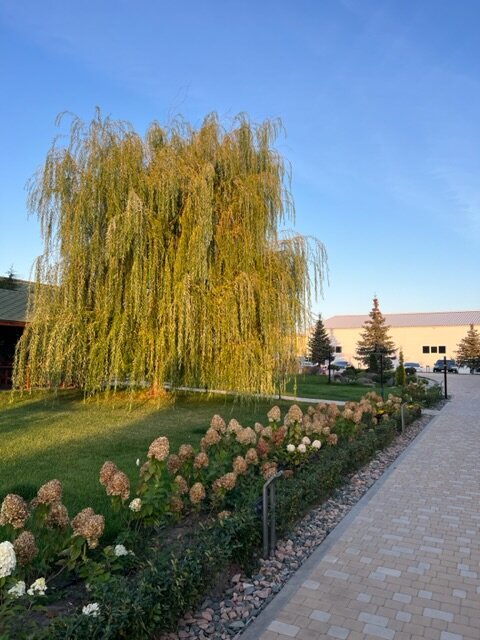 Фото Авиабаза