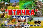 Logotipo