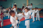 All-Russian Center for Sports Karate Irbis (Shidlovskogo Street, 6), club deportivo, sección